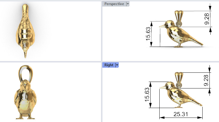 Piciformes bird Pendant Necklace Charm Bracelet jewelry 3D print model_23