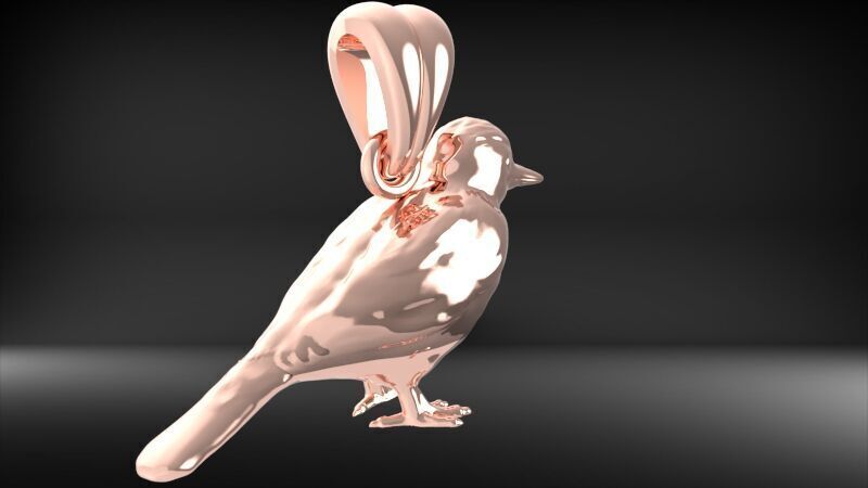 Piciformes bird Pendant Necklace Charm Bracelet jewelry 3D print model_14