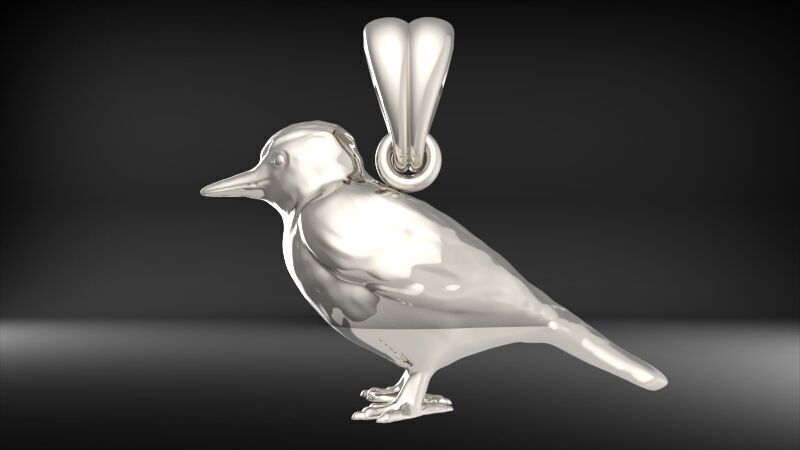 Piciformes bird Pendant Necklace Charm Bracelet jewelry 3D print model_5