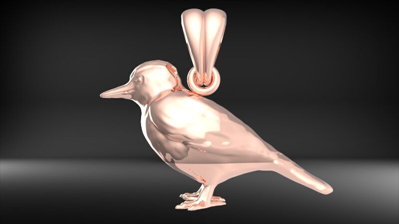 Piciformes bird Pendant Necklace Charm Bracelet jewelry 3D print model_6