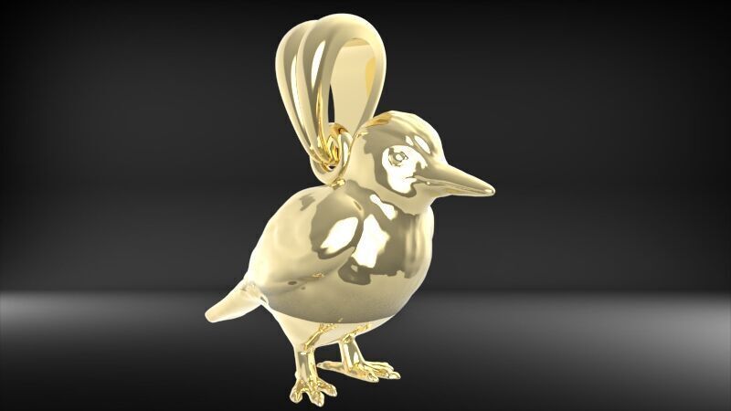 Piciformes bird Pendant Necklace Charm Bracelet jewelry 3D print model_19