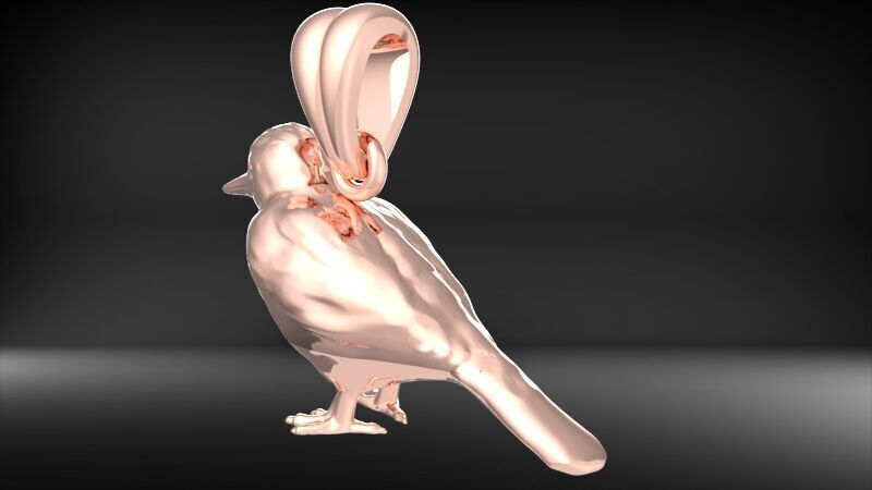 Piciformes bird Pendant Necklace Charm Bracelet jewelry 3D print model_16