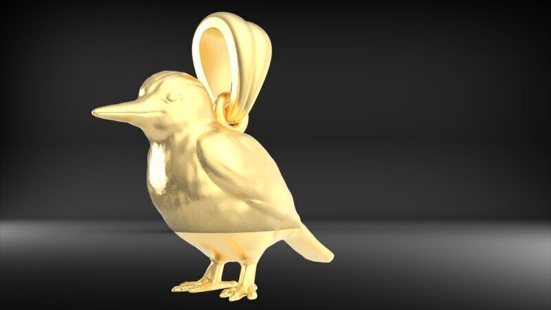 Piciformes bird Pendant Necklace Charm Bracelet jewelry 3D print model_12