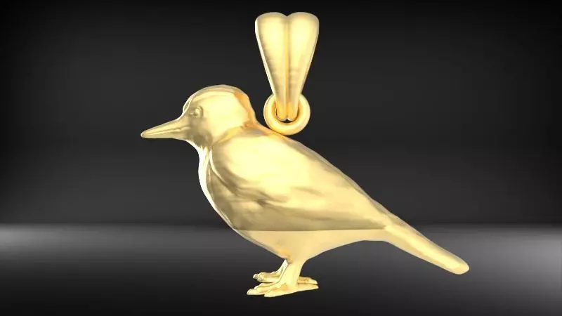 Piciformes bird Pendant Necklace Charm Bracelet jewelry 3D print model_0