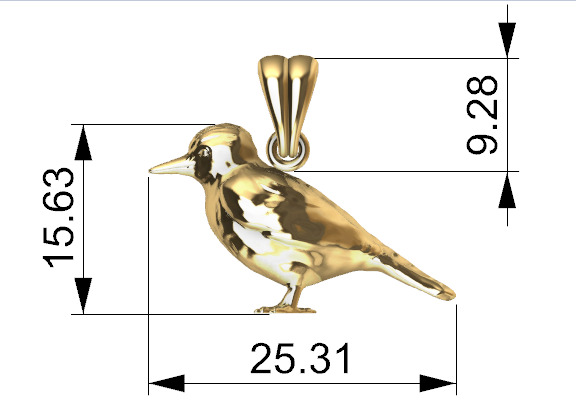 Piciformes bird Pendant Necklace Charm Bracelet jewelry 3D print model_20