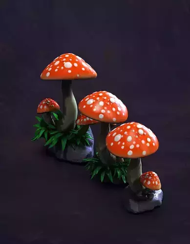 ORNAMENTAL MUSHROOMS