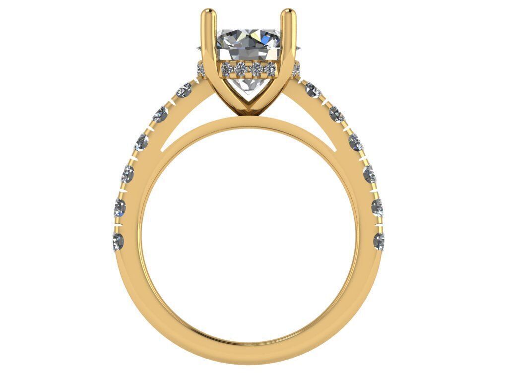 Round shape ring with hidden halo and pave on shank 3D print model_1