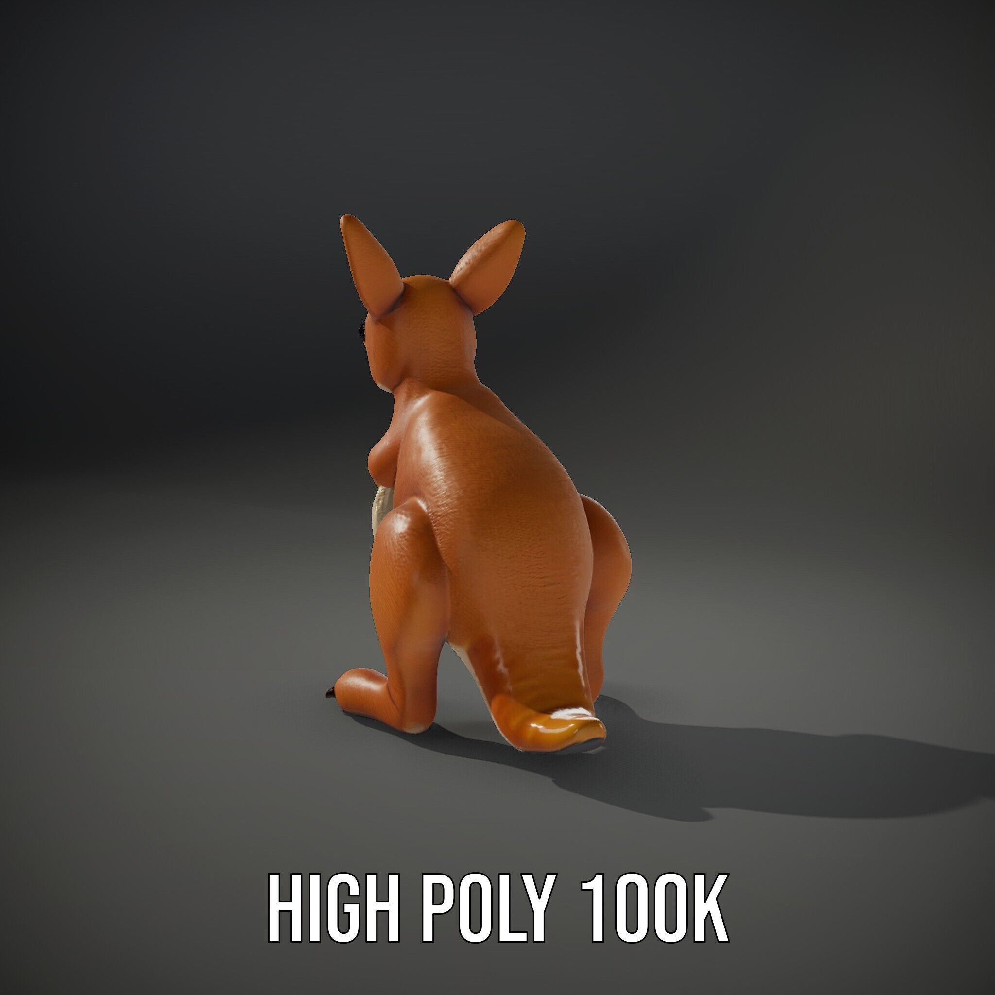 Kangaroo Plush Toy D Model Pack Low-poly 3D model_14