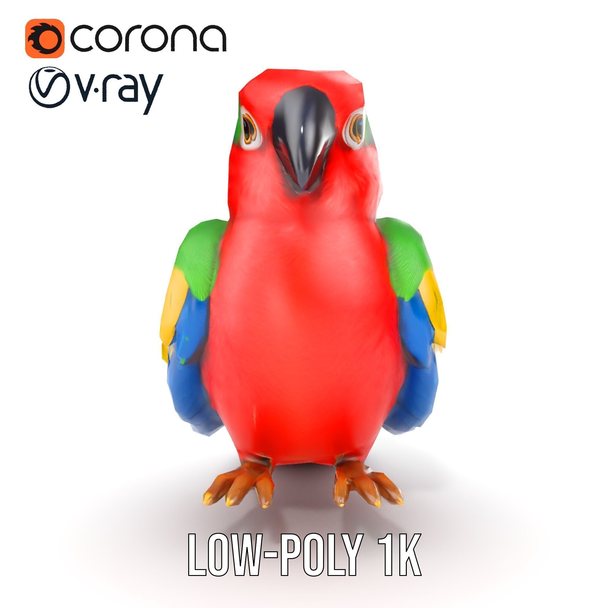 Colorful Parrot D Model Pack for Animation and Games Low-poly 3D model_27