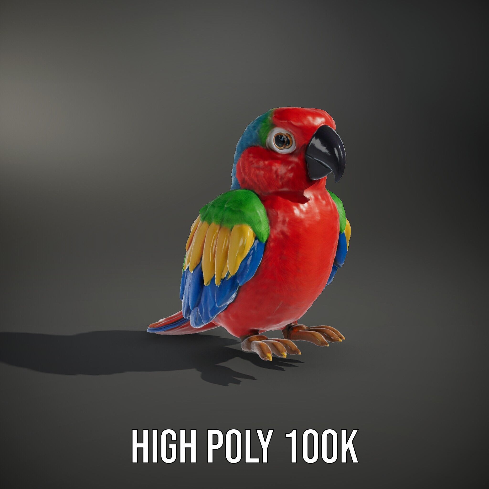 Colorful Parrot D Model Pack for Animation and Games Low-poly 3D model_14
