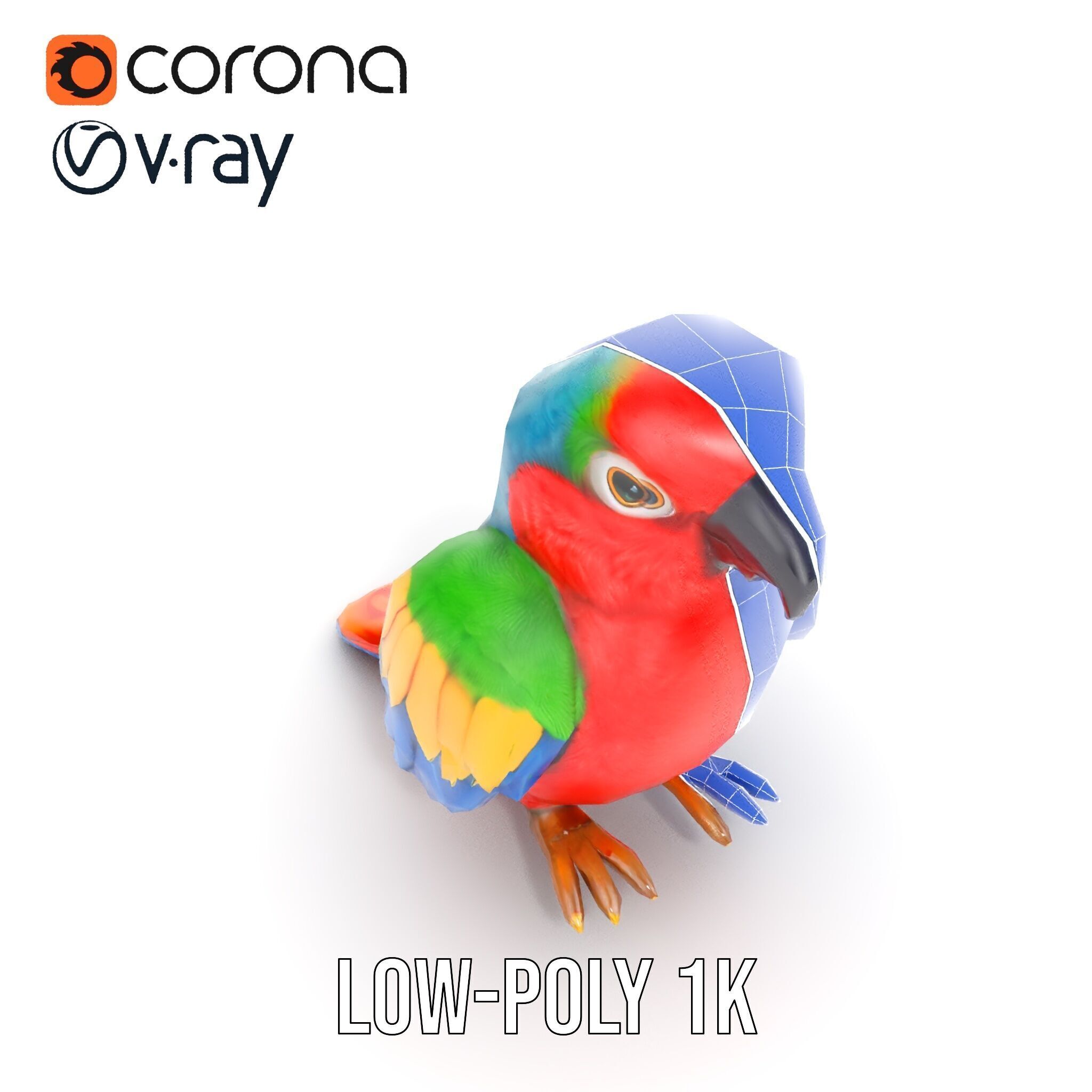 Colorful Parrot D Model Pack for Animation and Games Low-poly 3D model_16