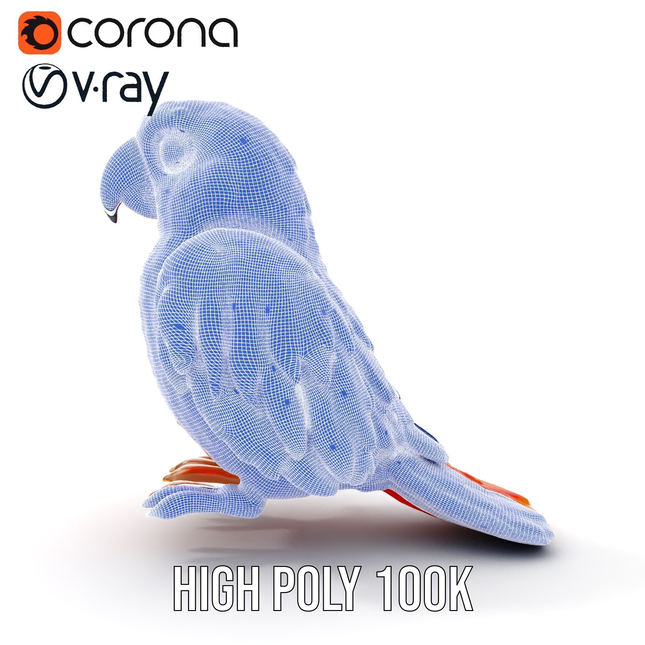 Colorful Parrot D Model Pack for Animation and Games Low-poly 3D model_38