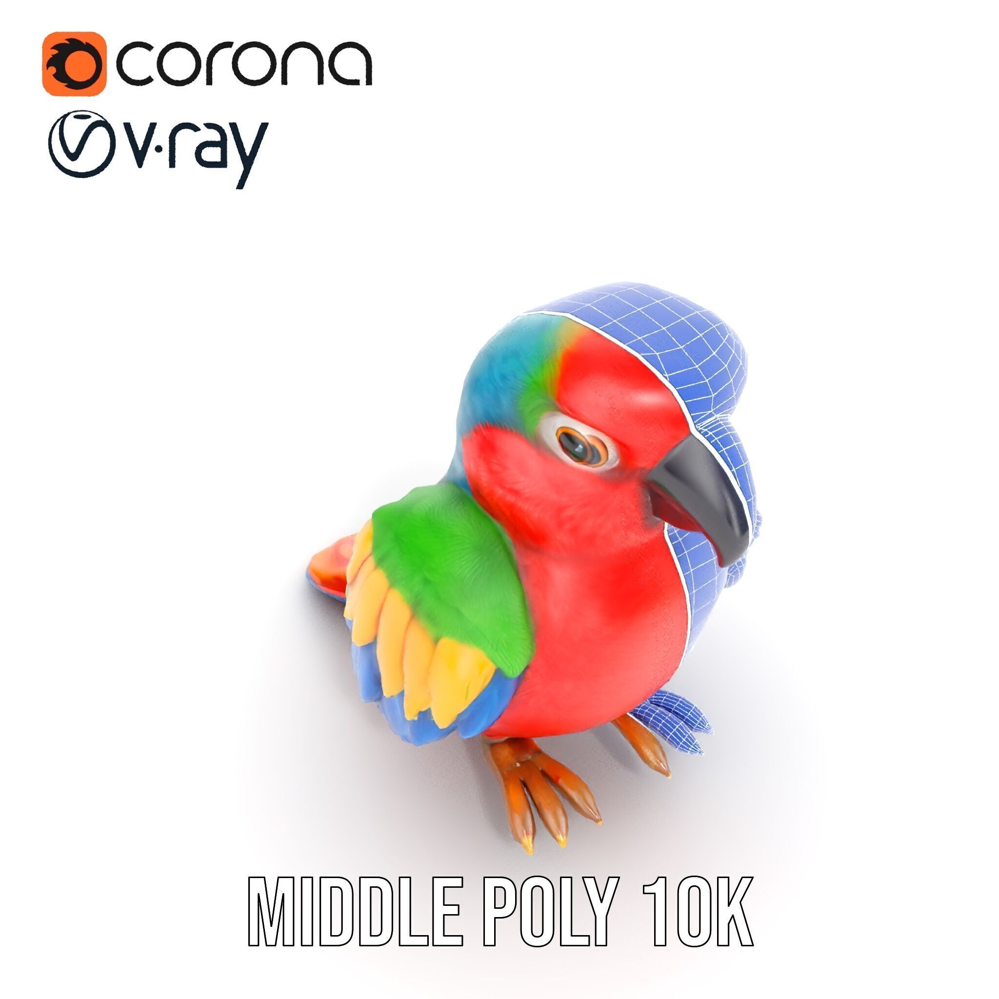 Colorful Parrot D Model Pack for Animation and Games Low-poly 3D model_31