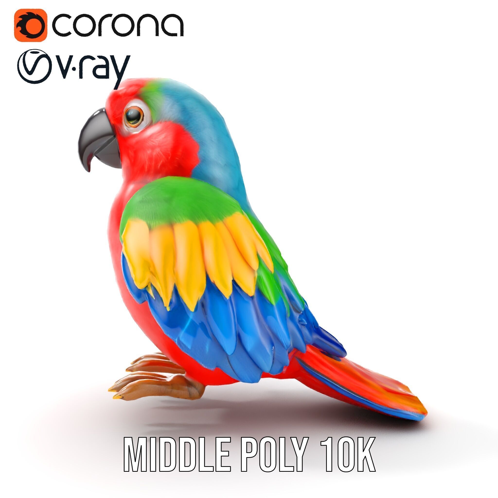 Colorful Parrot D Model Pack for Animation and Games Low-poly 3D model_23
