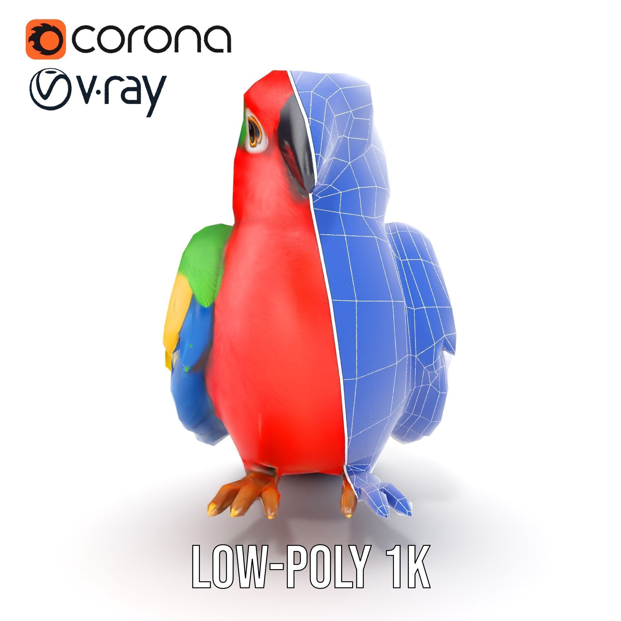 Colorful Parrot D Model Pack for Animation and Games Low-poly 3D model_29