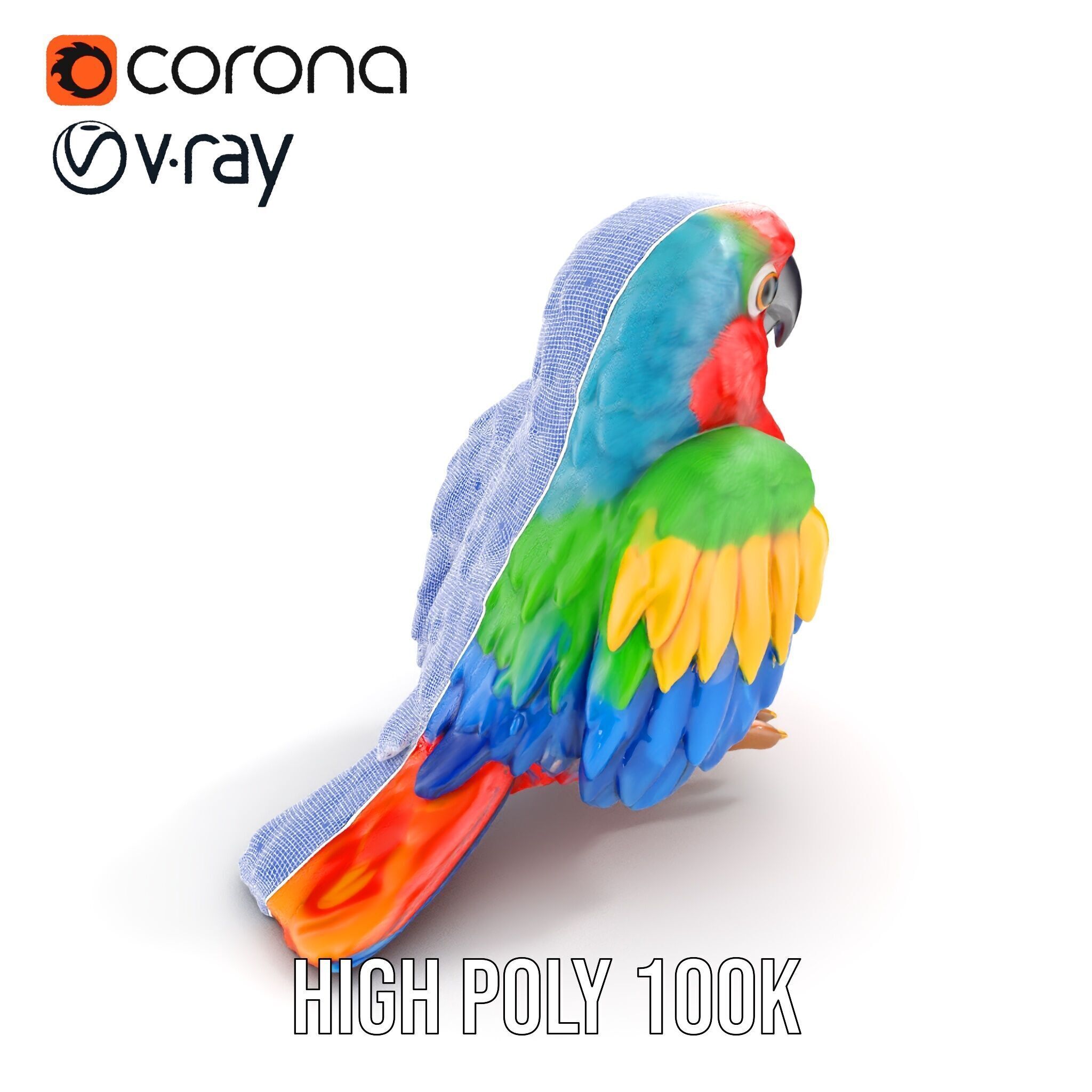 Colorful Parrot D Model Pack for Animation and Games Low-poly 3D model_37