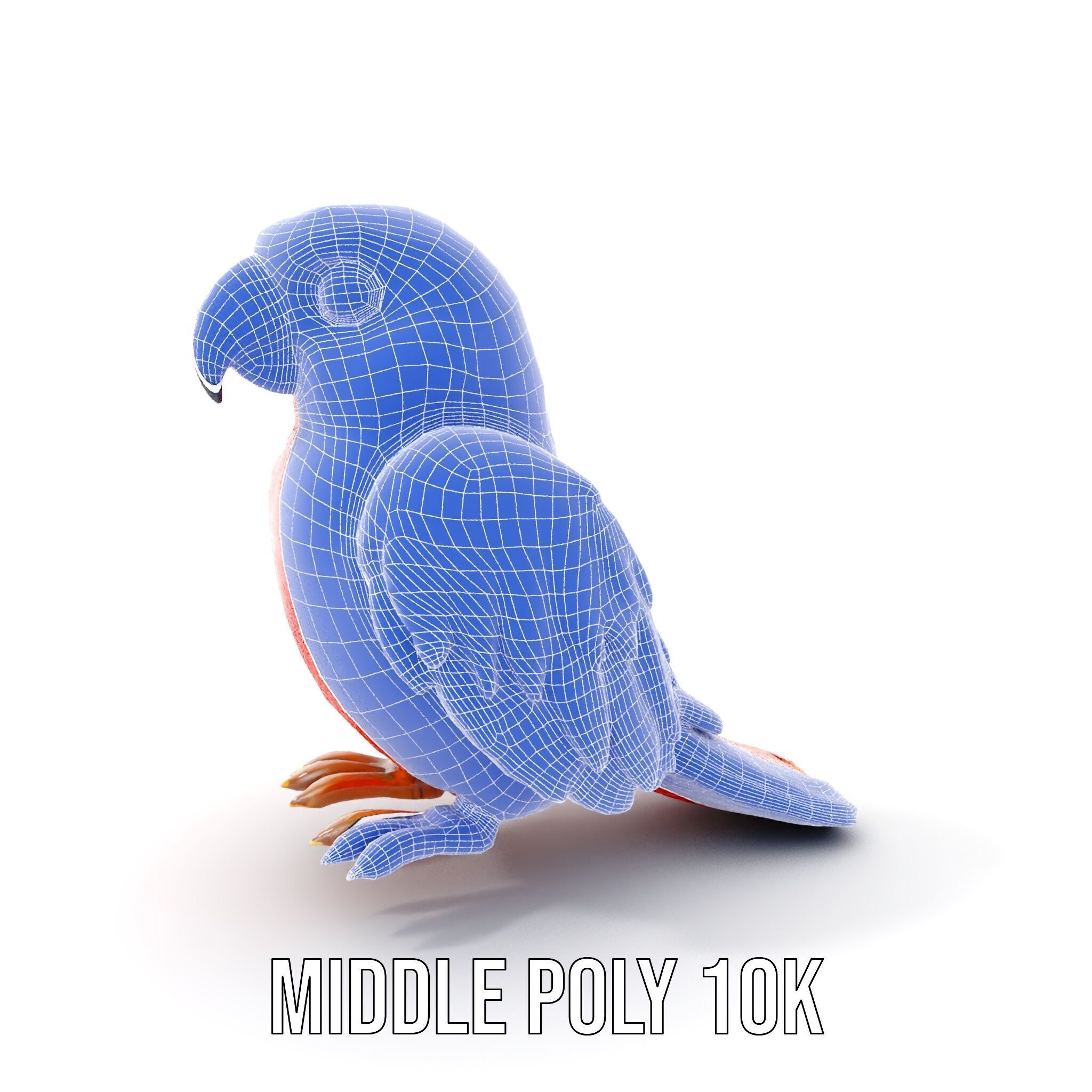 Colorful Parrot D Model Pack for Animation and Games Low-poly 3D model_9