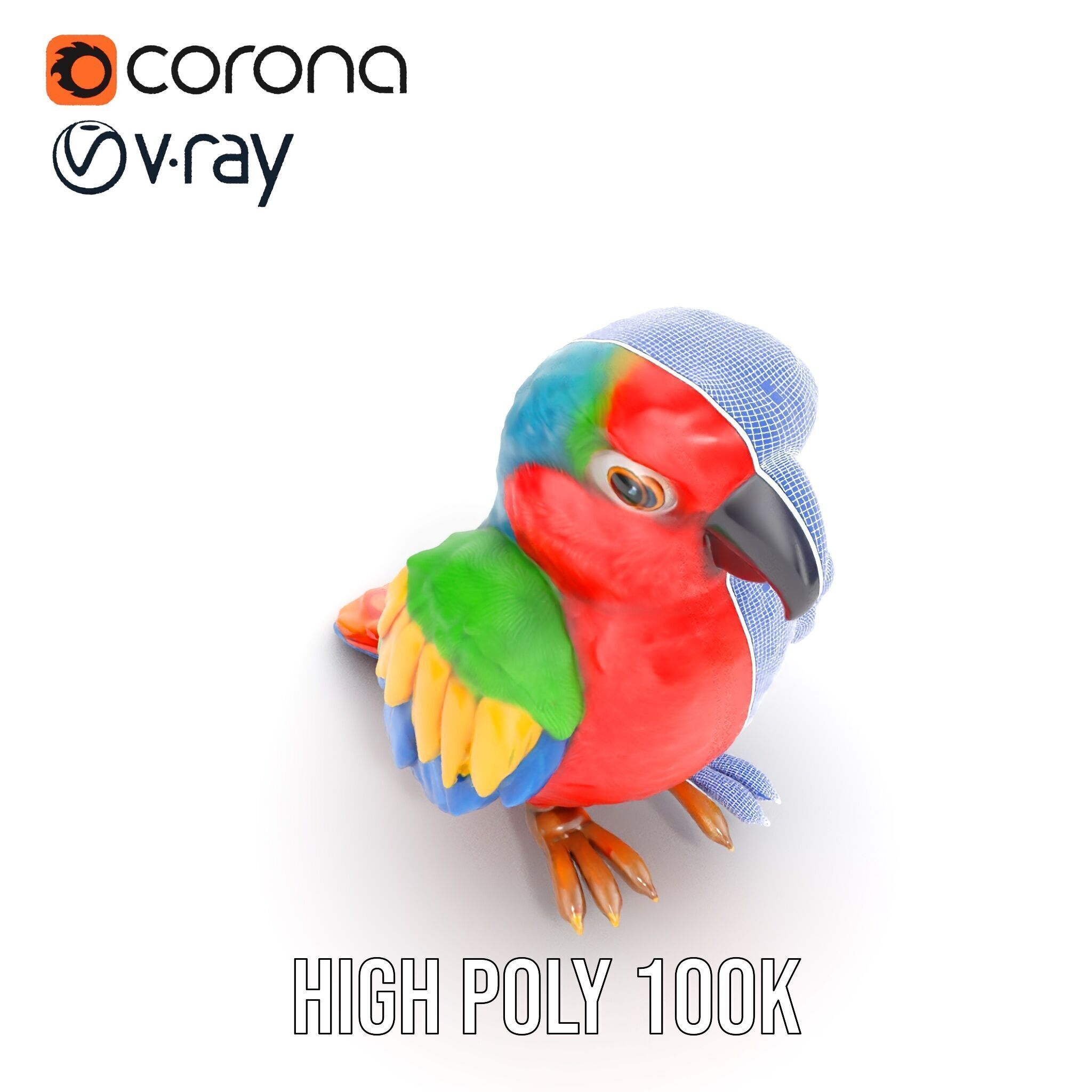 Colorful Parrot D Model Pack for Animation and Games Low-poly 3D model_33