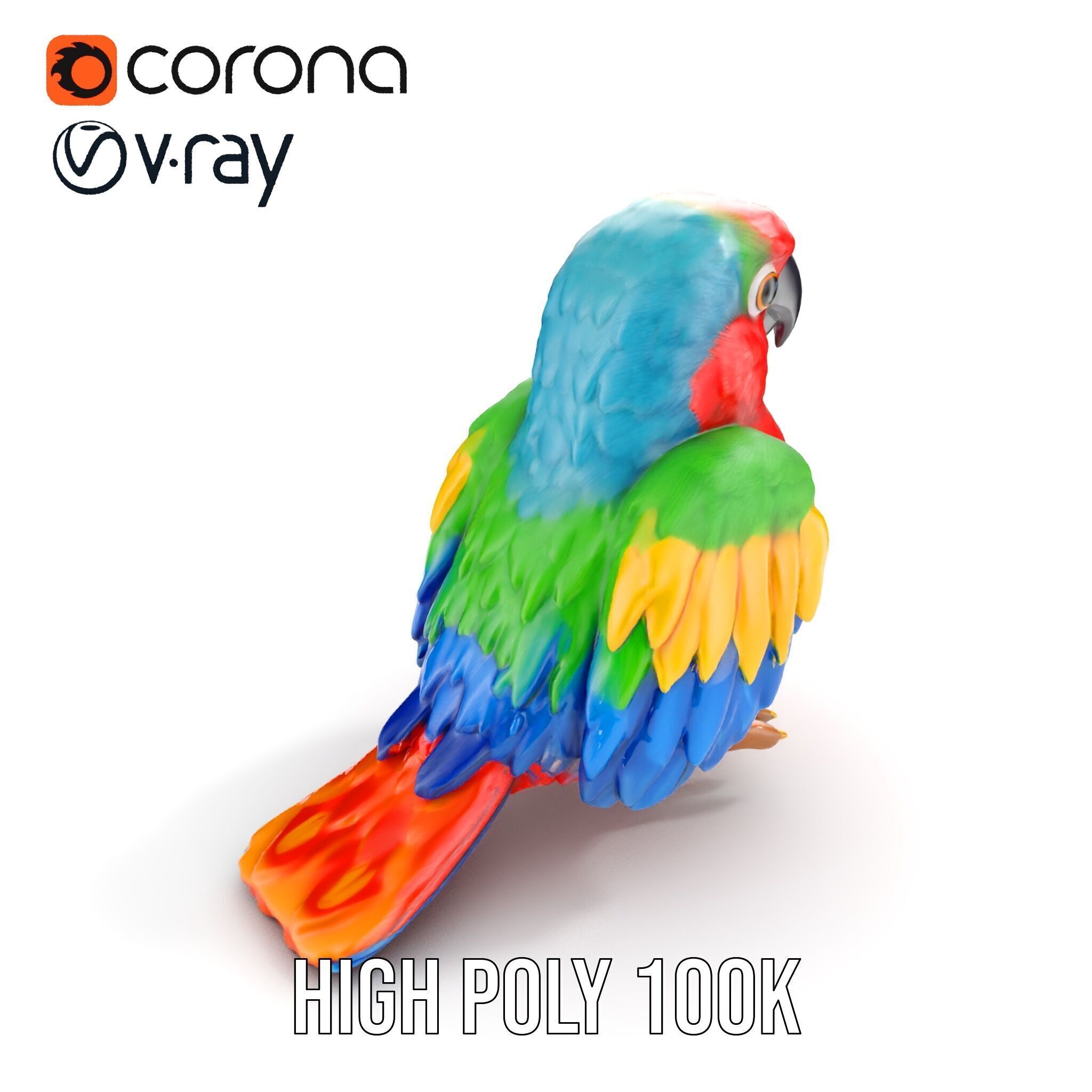 Colorful Parrot D Model Pack for Animation and Games Low-poly 3D model_22