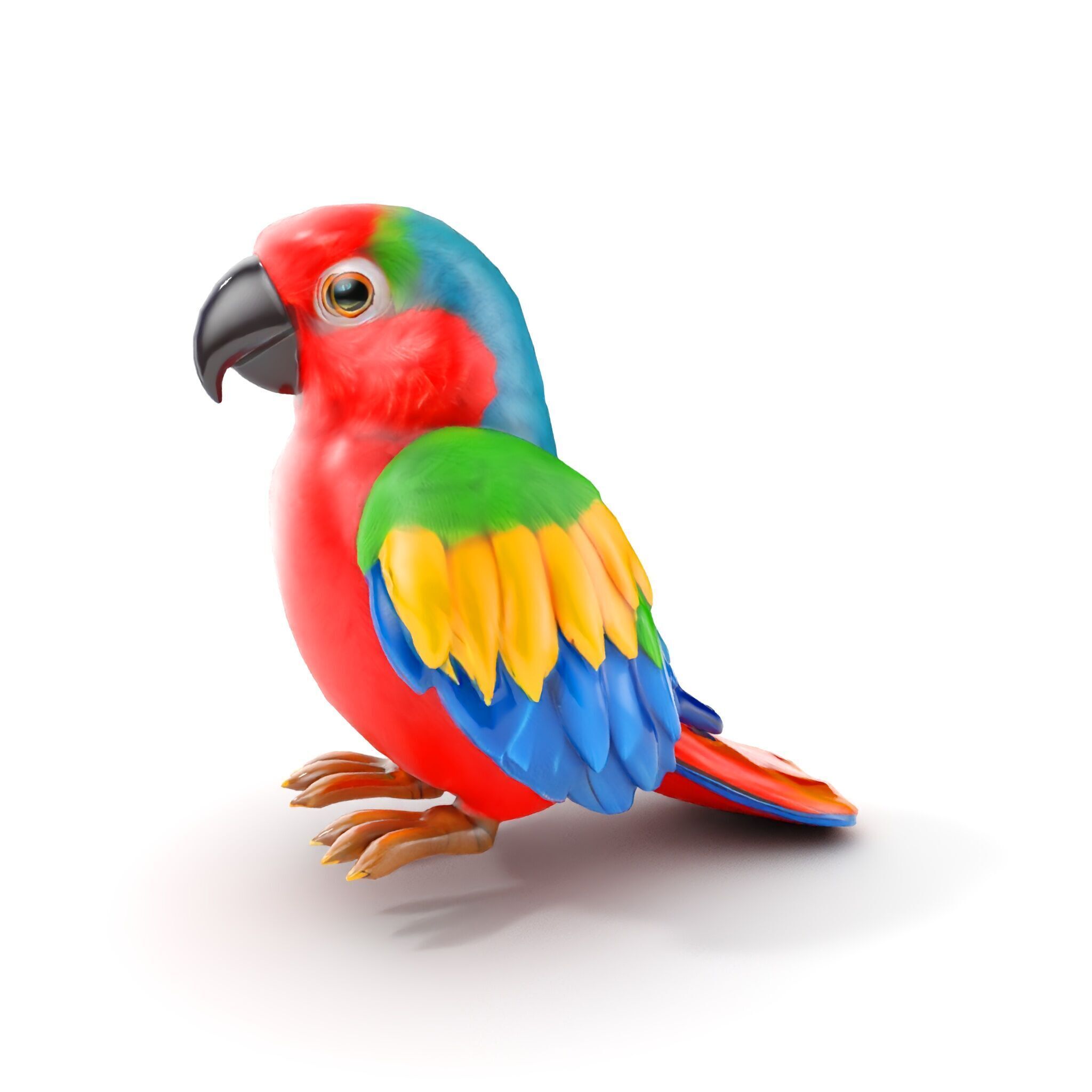 Colorful Parrot D Model Pack for Animation and Games Low-poly 3D model_6