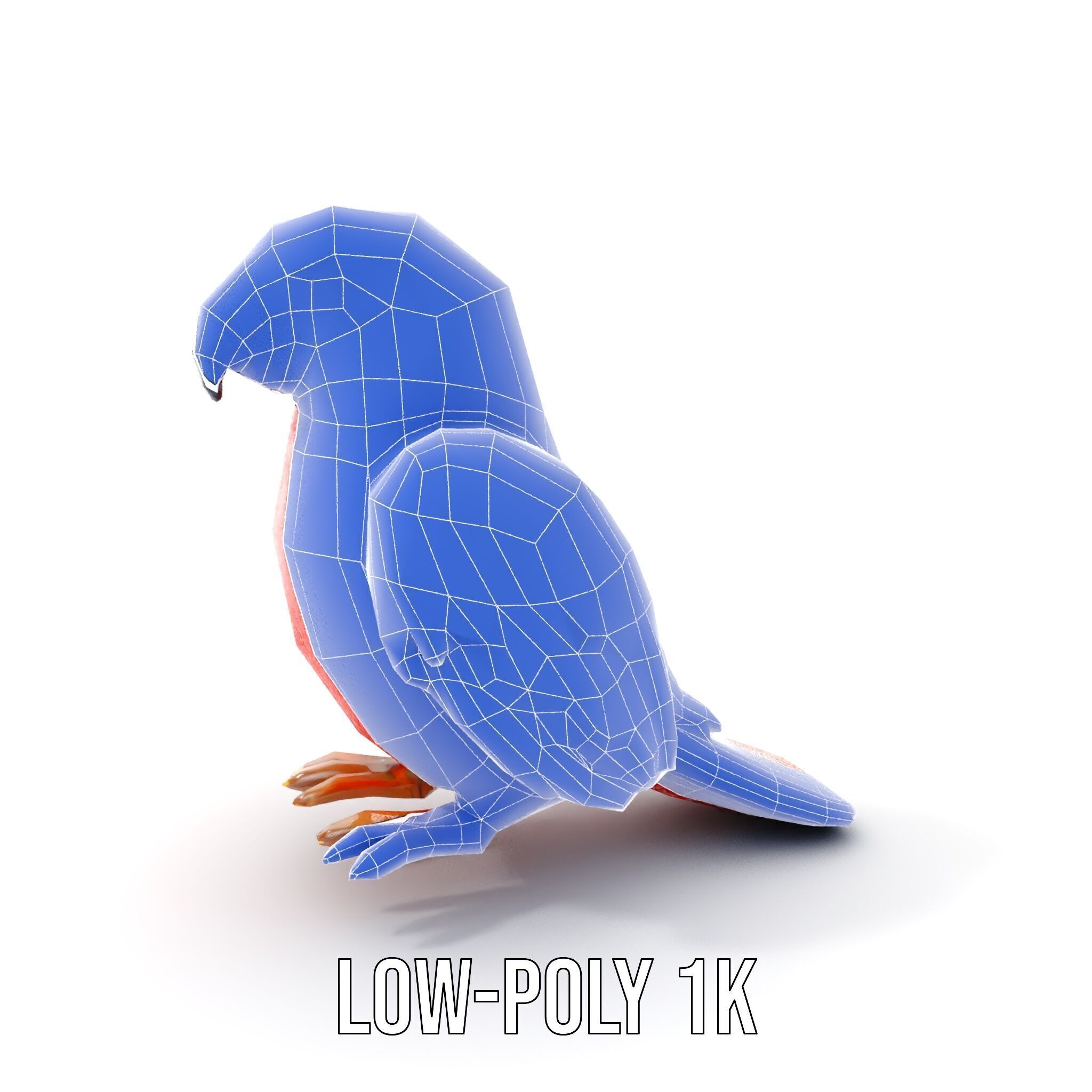Colorful Parrot D Model Pack for Animation and Games Low-poly 3D model_21