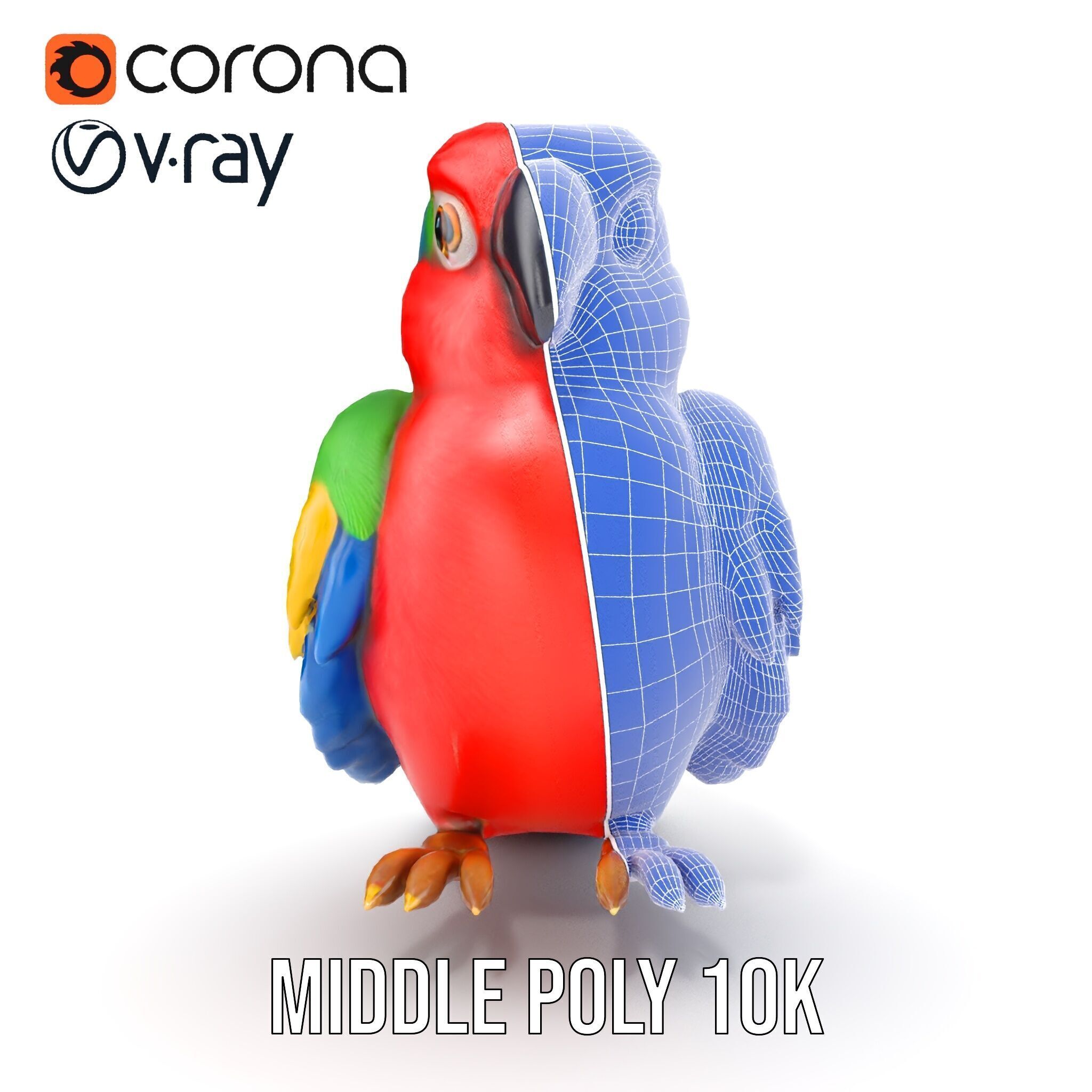 Colorful Parrot D Model Pack for Animation and Games Low-poly 3D model_28