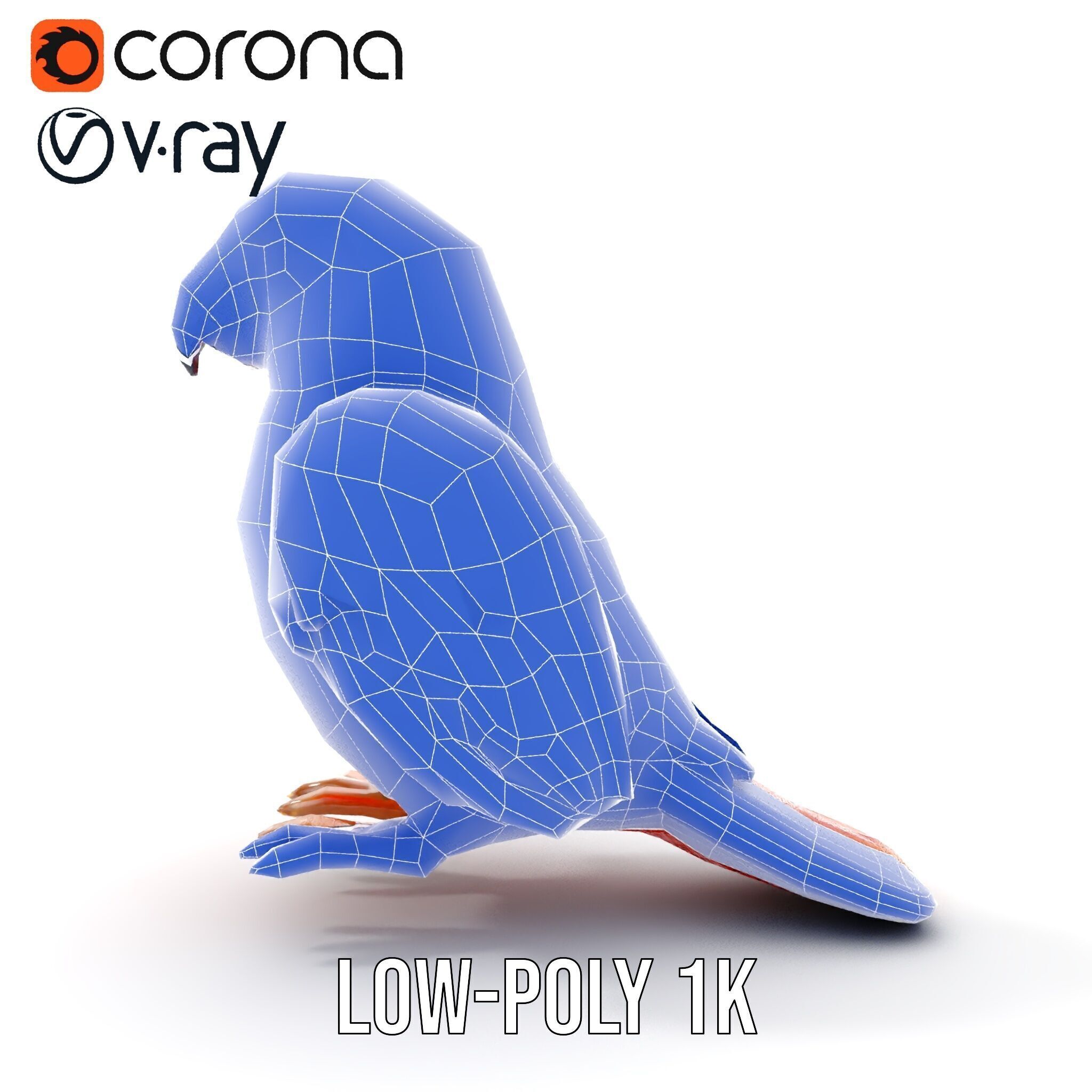 Colorful Parrot D Model Pack for Animation and Games Low-poly 3D model_18