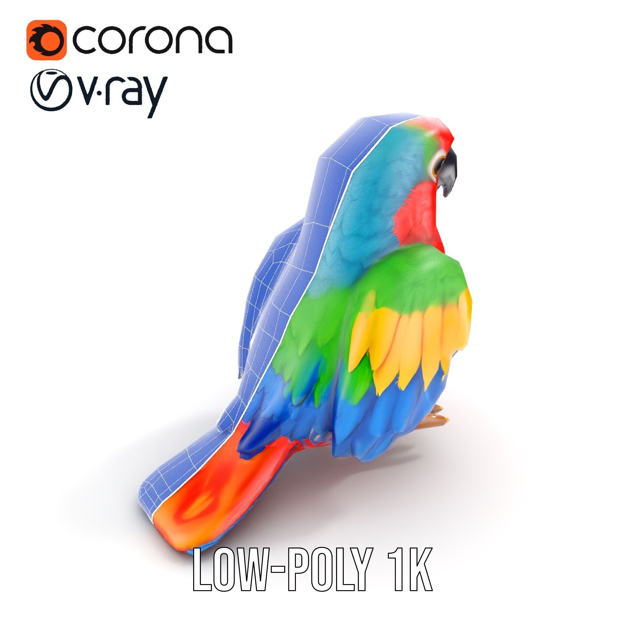 Colorful Parrot D Model Pack for Animation and Games Low-poly 3D model_10