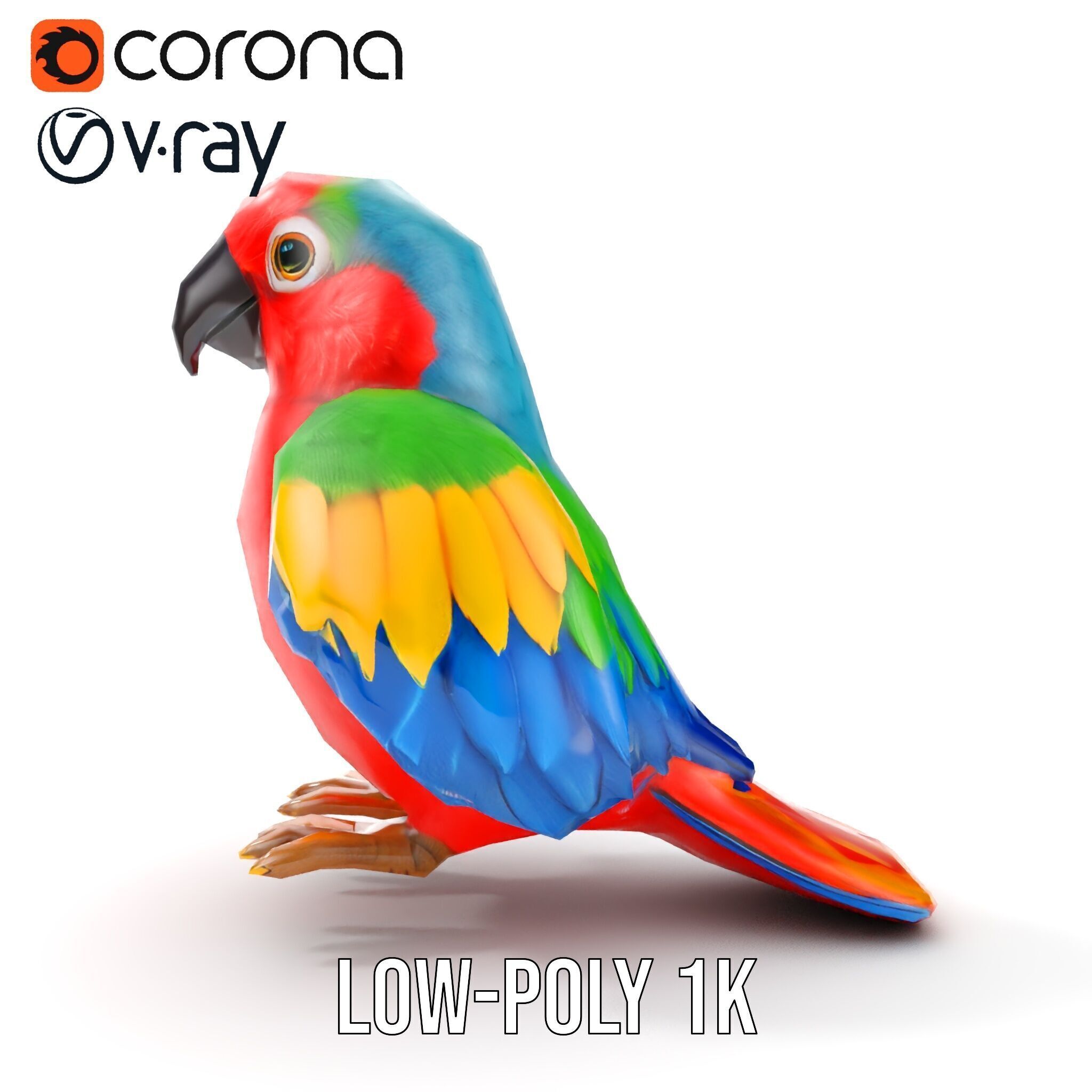 Colorful Parrot D Model Pack for Animation and Games Low-poly 3D model_13