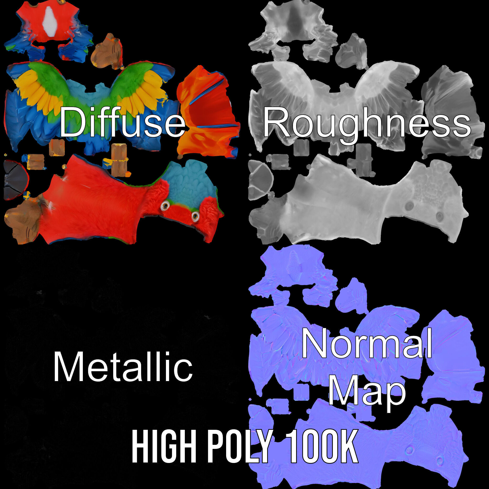 Colorful Parrot D Model Pack for Animation and Games Low-poly 3D model_3