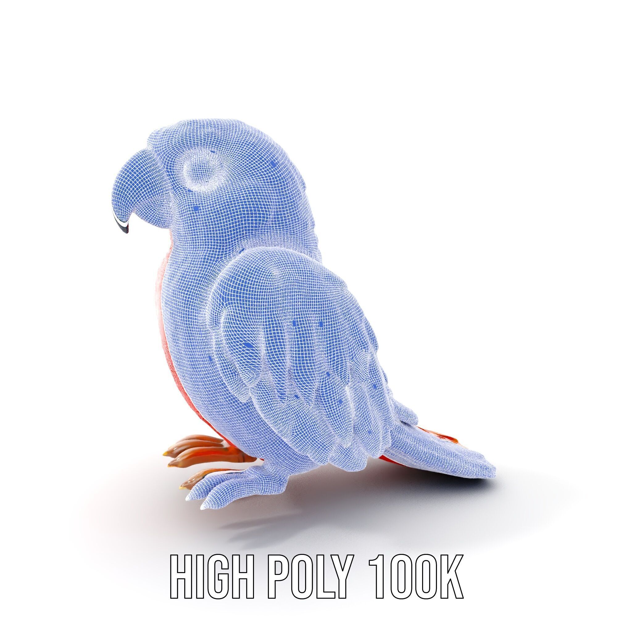 Colorful Parrot D Model Pack for Animation and Games Low-poly 3D model_4