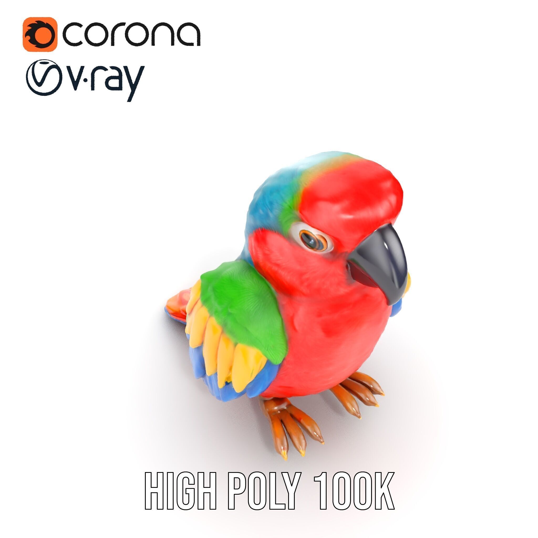 Colorful Parrot D Model Pack for Animation and Games Low-poly 3D model_25