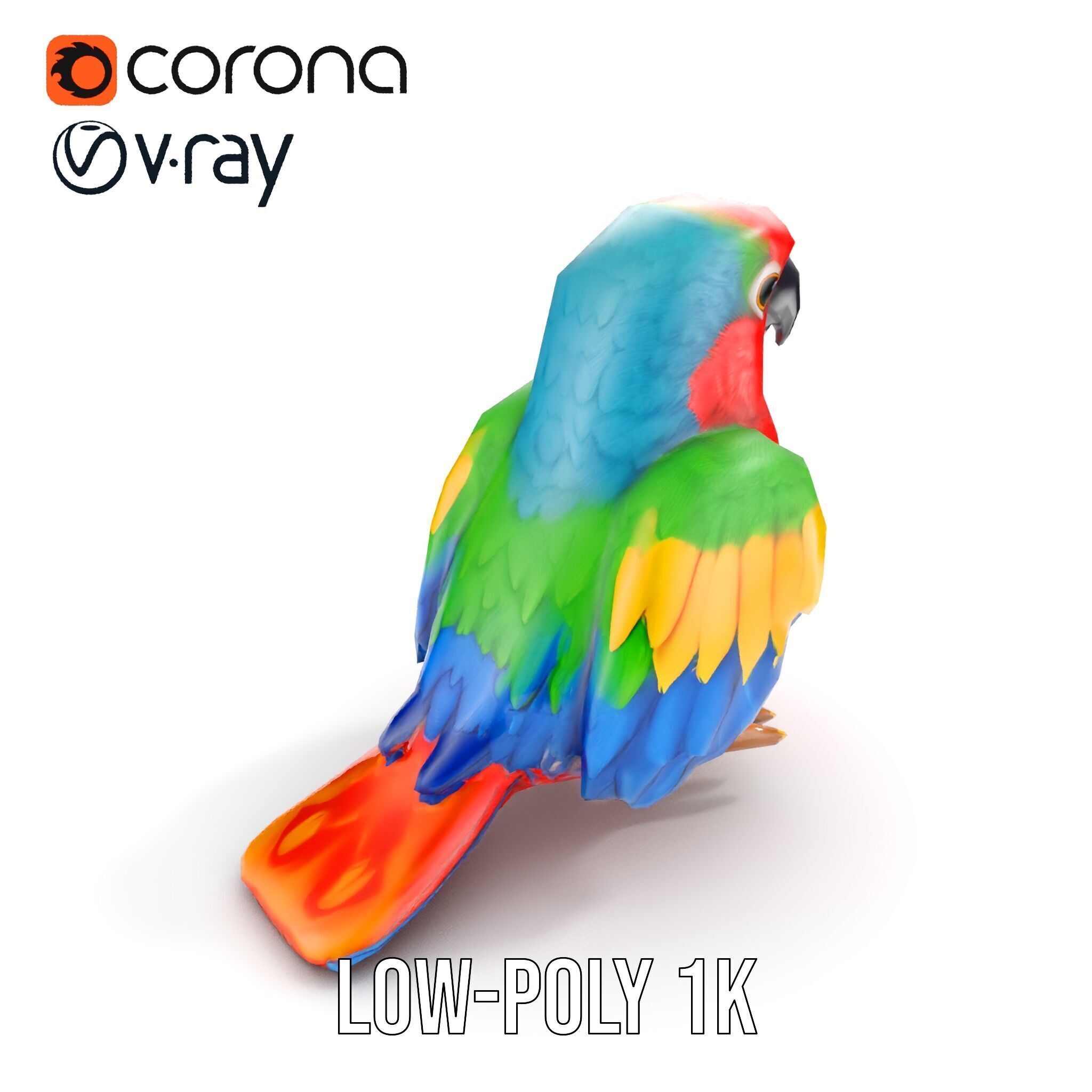 Colorful Parrot D Model Pack for Animation and Games Low-poly 3D model_24