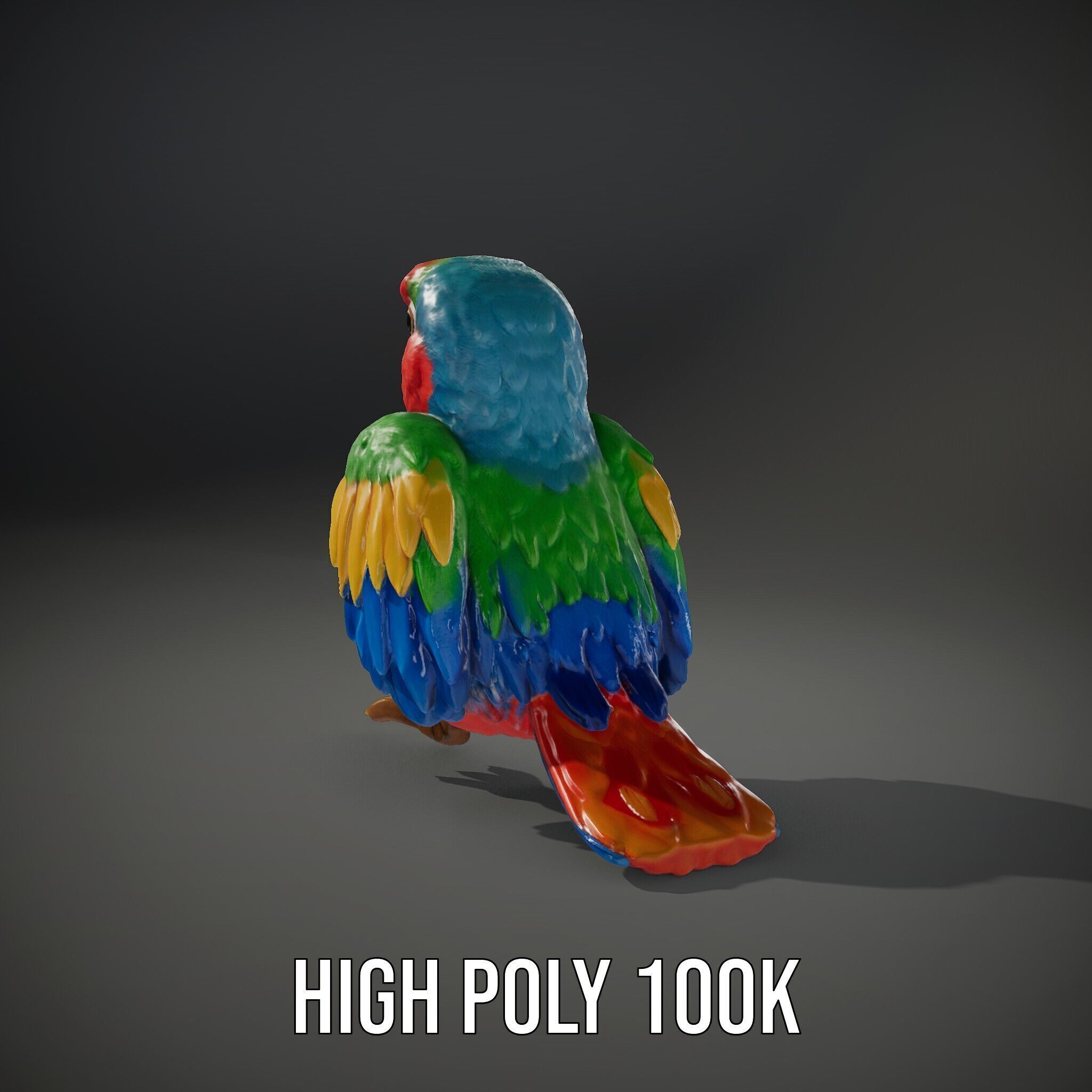 Colorful Parrot D Model Pack for Animation and Games Low-poly 3D model_8