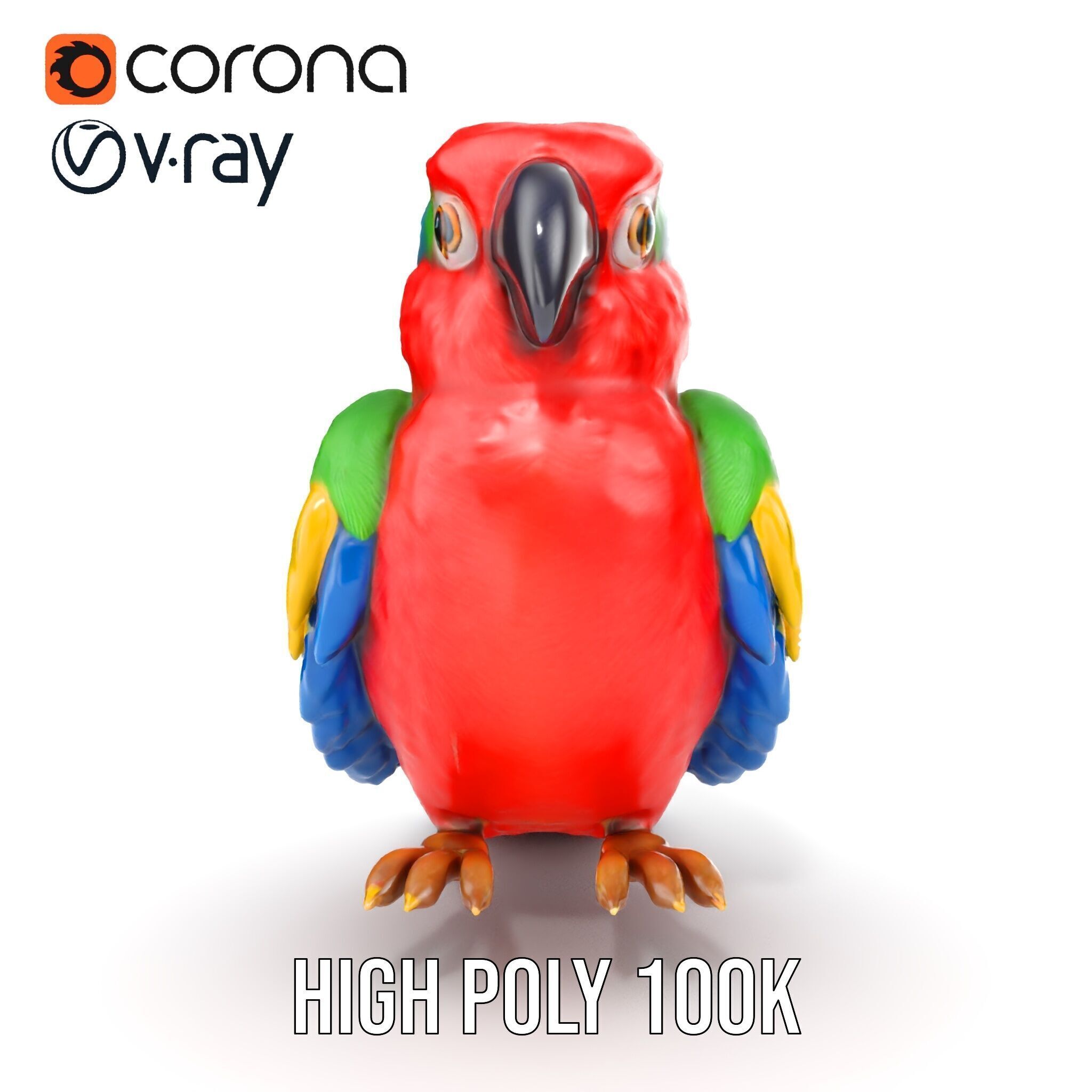 Colorful Parrot D Model Pack for Animation and Games Low-poly 3D model_30