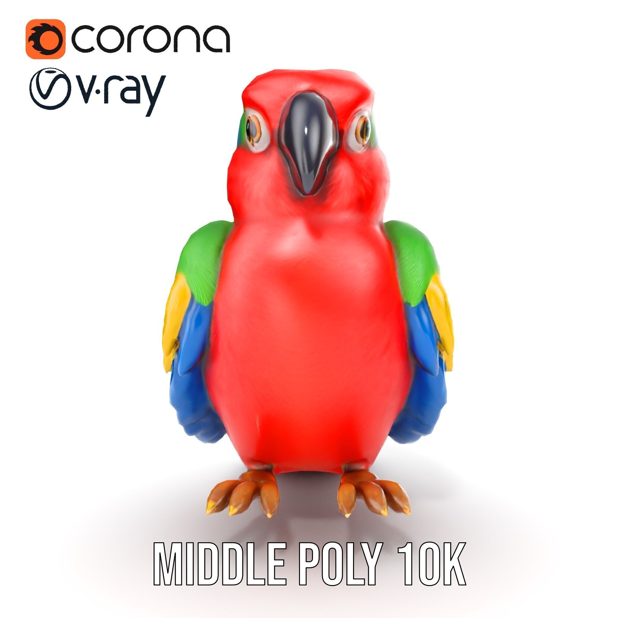 Colorful Parrot D Model Pack for Animation and Games Low-poly 3D model_20
