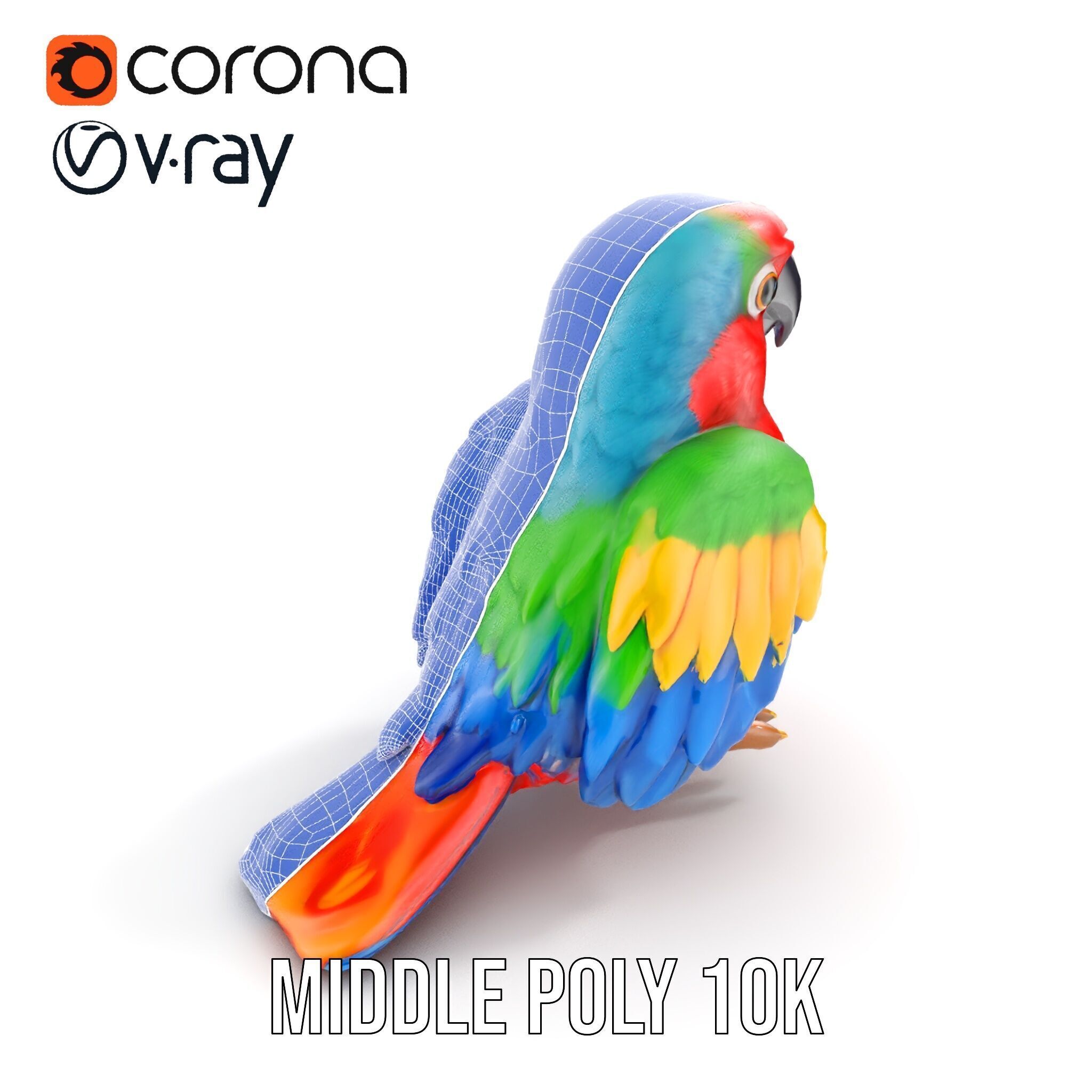 Colorful Parrot D Model Pack for Animation and Games Low-poly 3D model_17