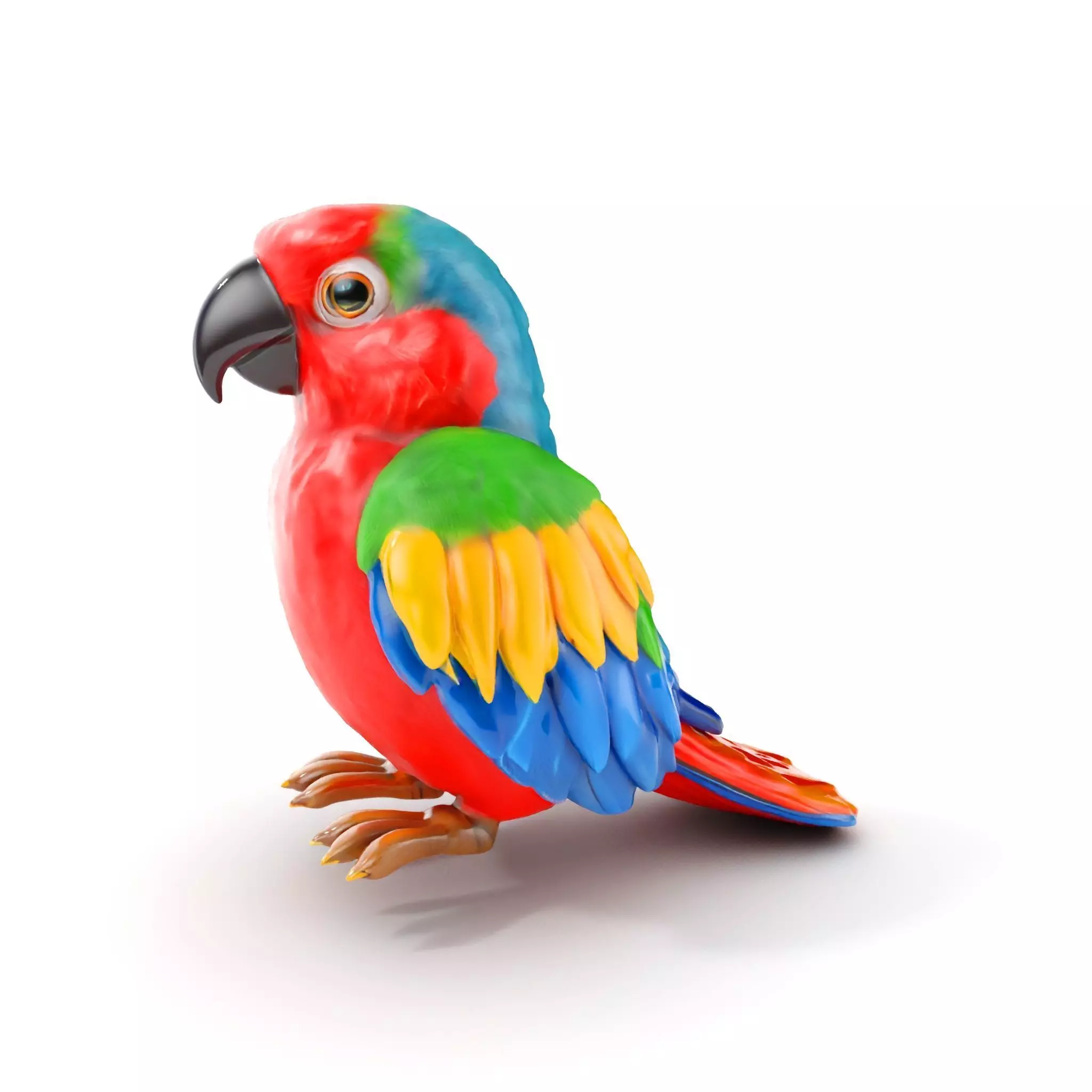 Colorful Parrot D Model Pack for Animation and Games Low-poly 3D model_0