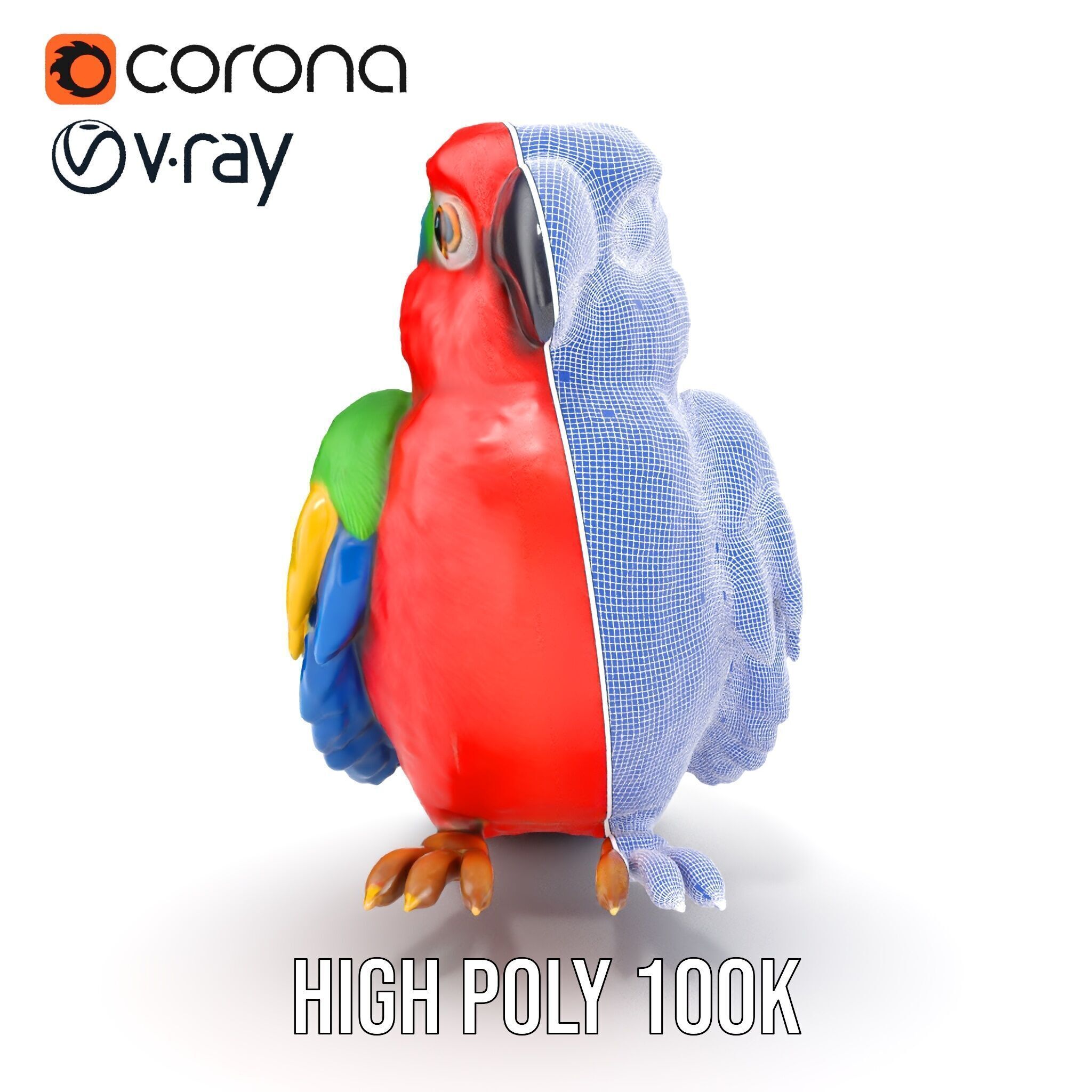 Colorful Parrot D Model Pack for Animation and Games Low-poly 3D model_36