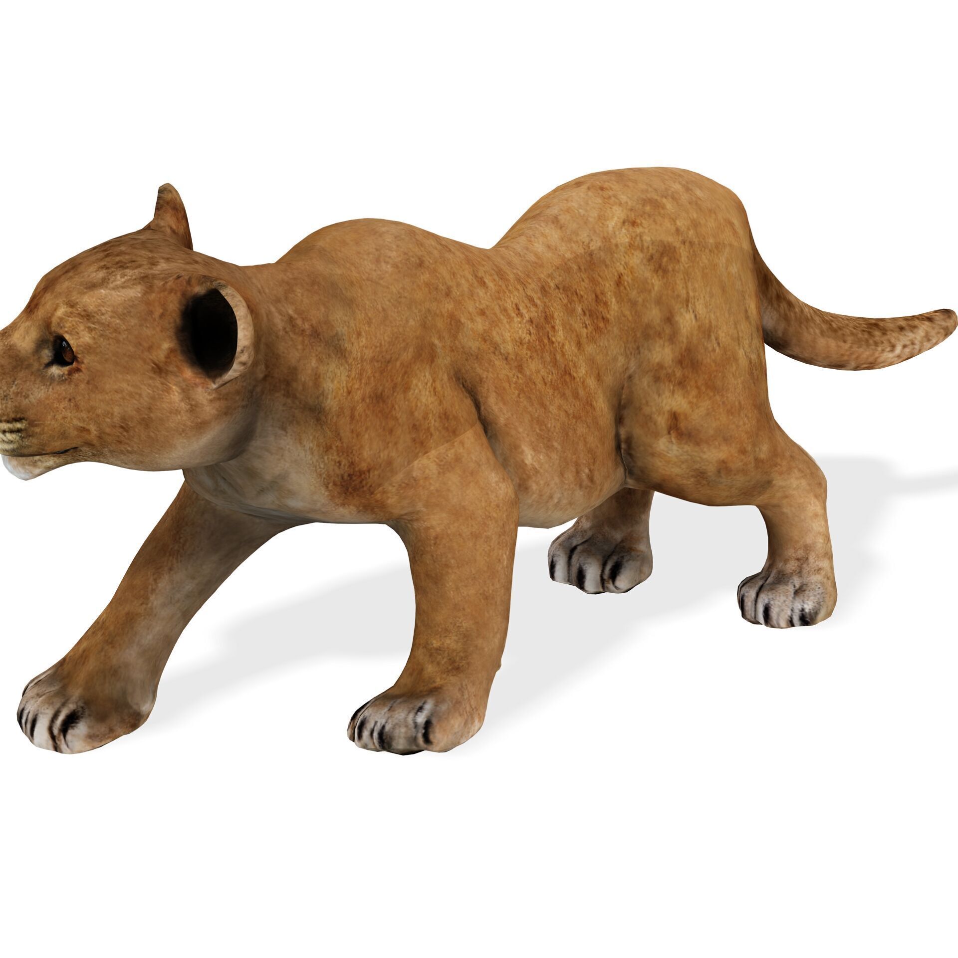 LION CUB CUP Lioness FELINE CAT Low-poly 3D model_2