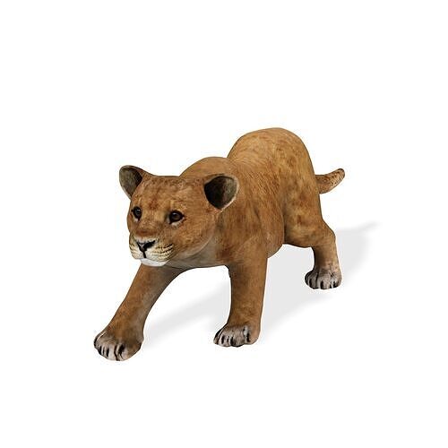 LION CUB CUP Lioness FELINE CAT Low-poly 3D model