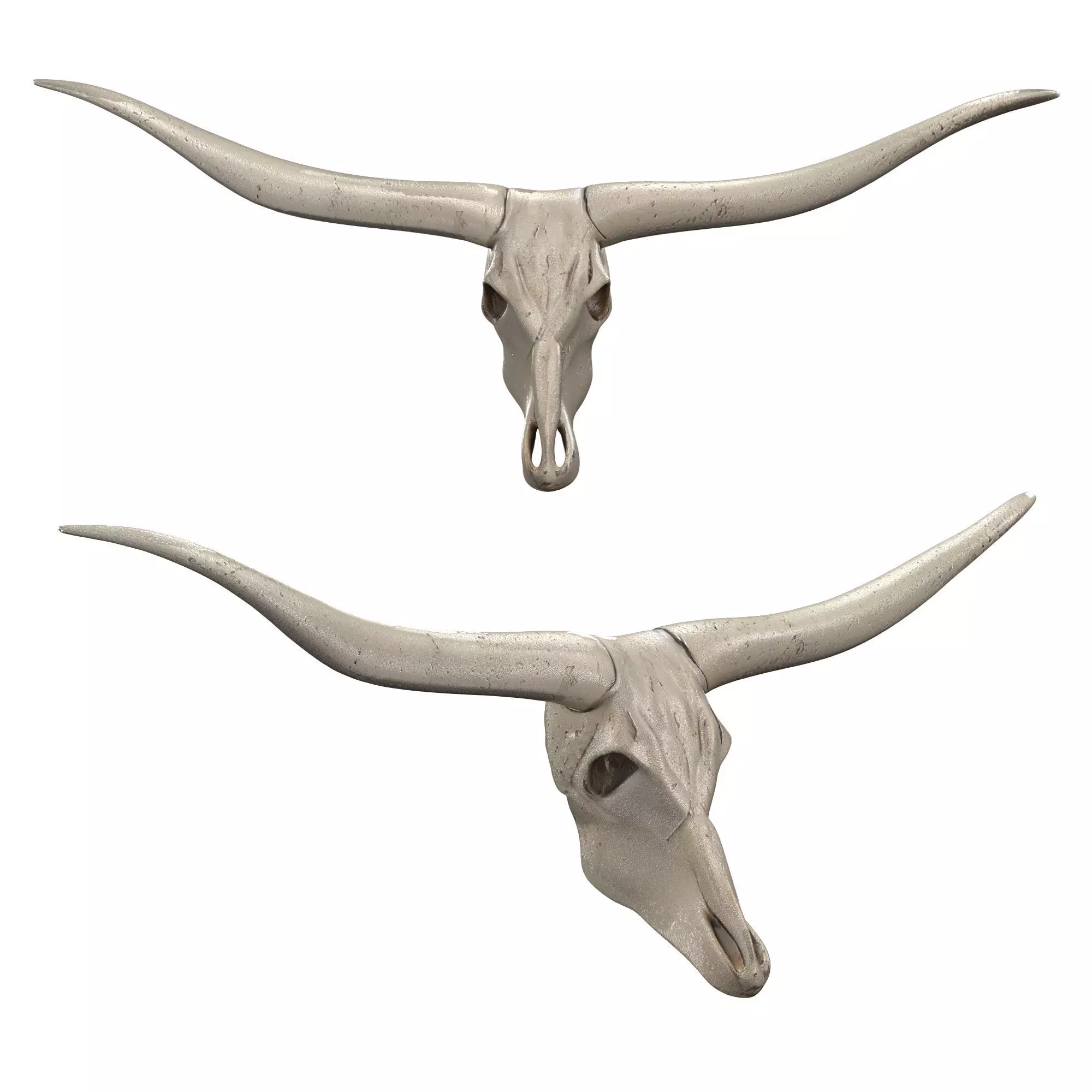 Texas Longhorn Steer Skull - Stone 3D model