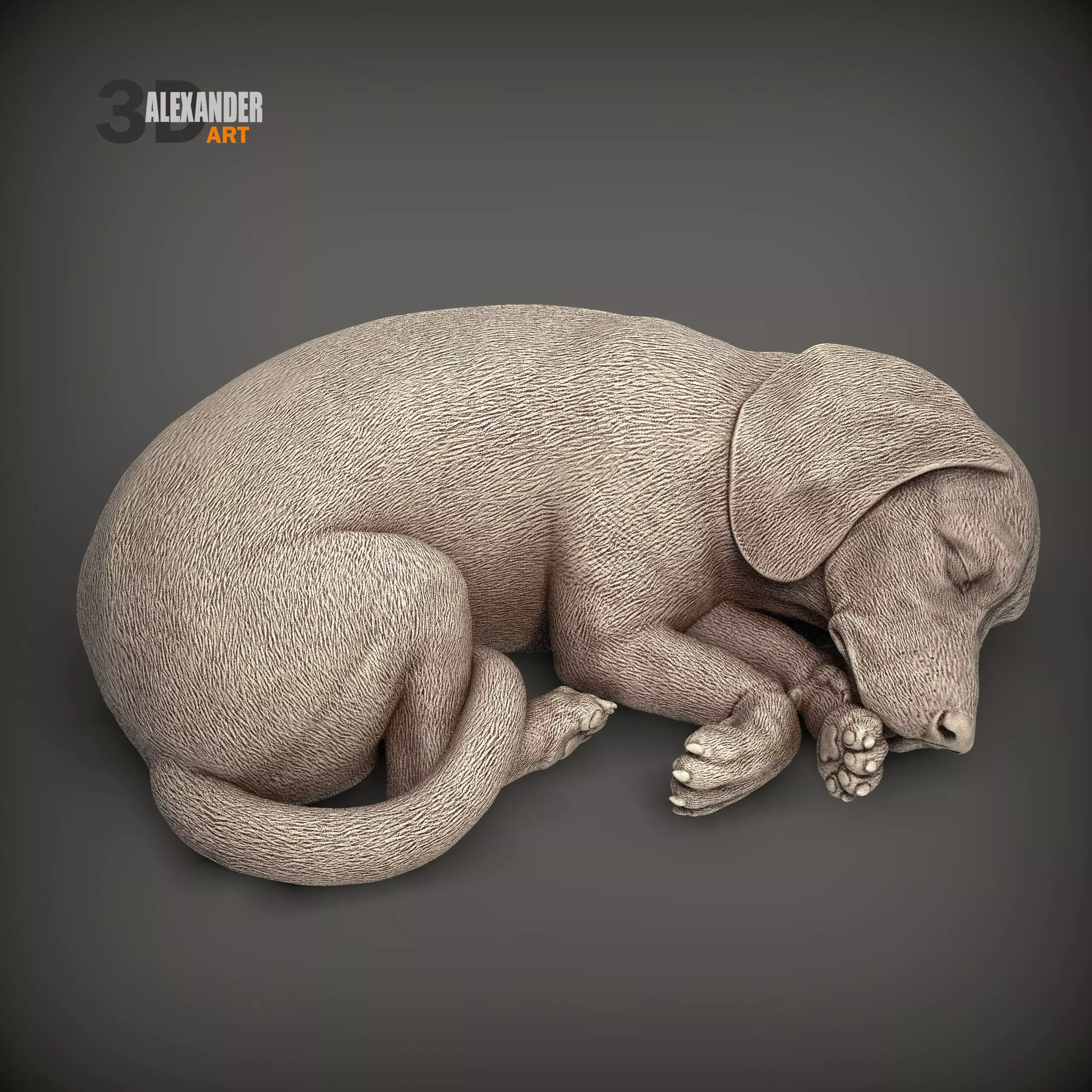 Beagle is sleeping 3D print model