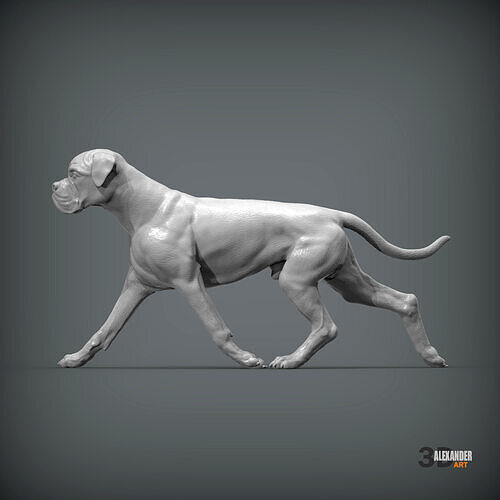 Boxer dog running 3D print model