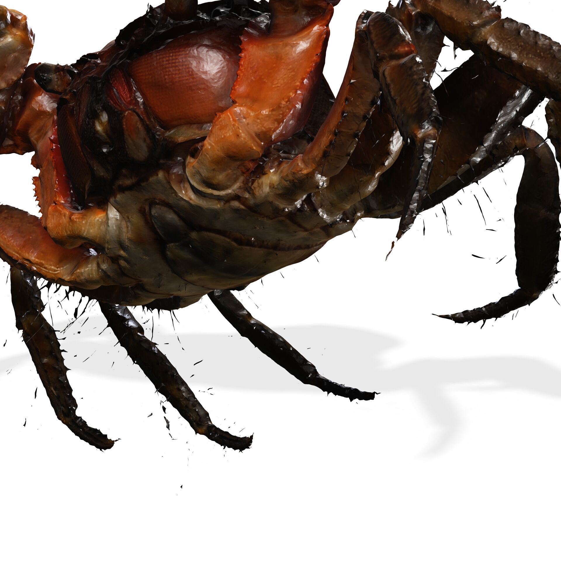 Crab Claw Shellfish Crustacean FISH OCEAN SEA 3D print model_8