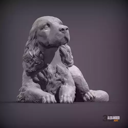 English Cocker Spaniel lying down