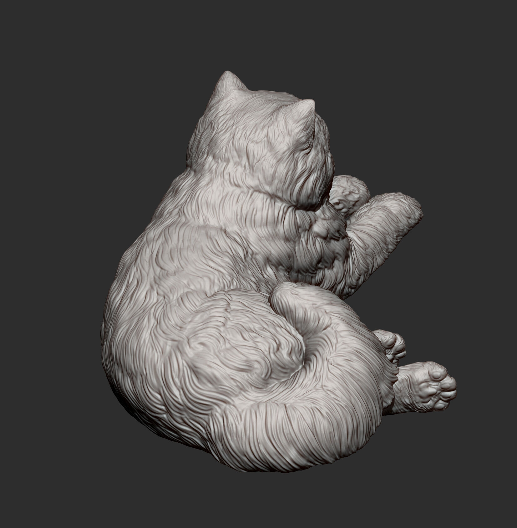 Persian cat lying down 3D print model_11