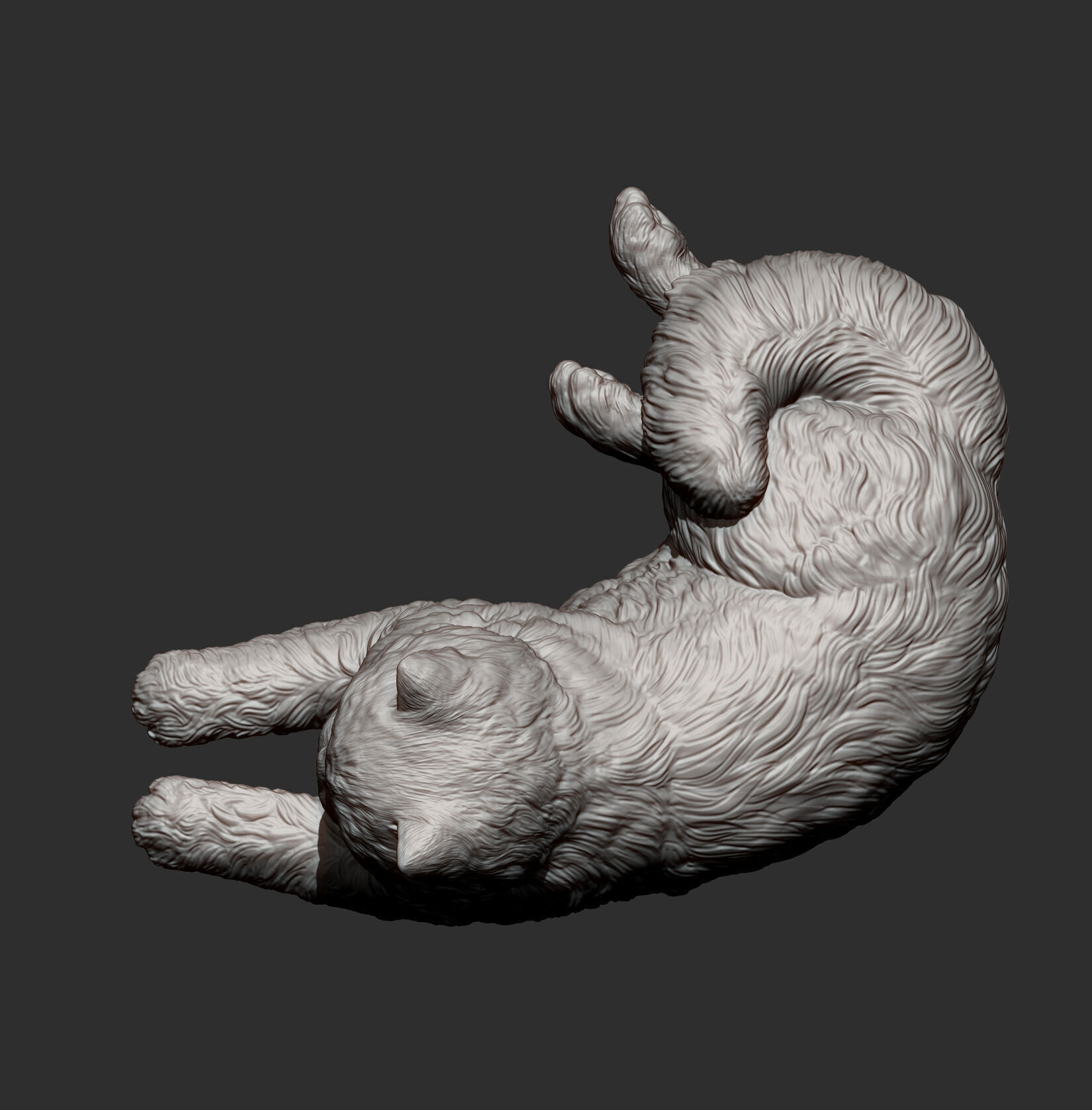 Persian cat lying down 3D print model_13