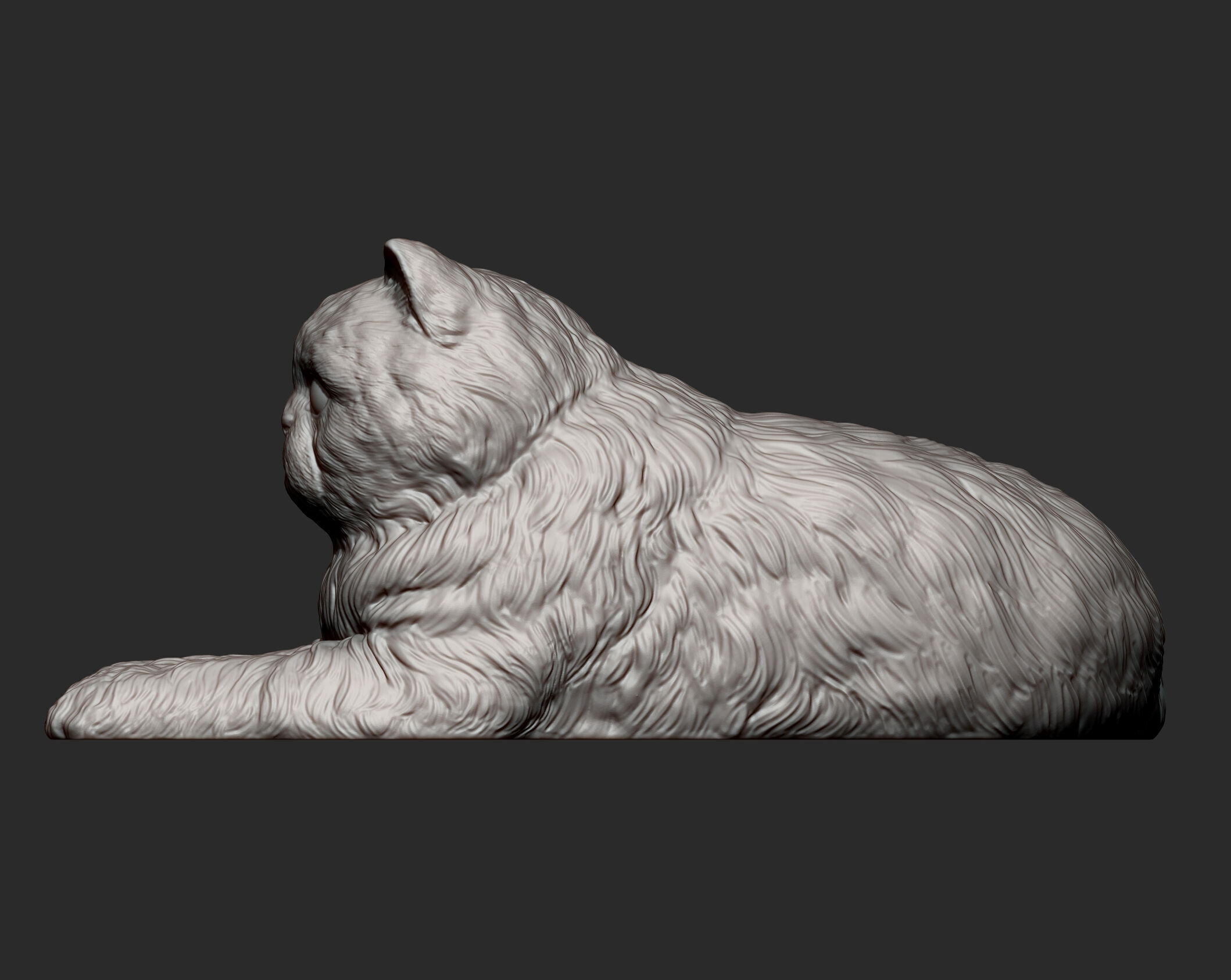 Persian cat lying down 3D print model_10
