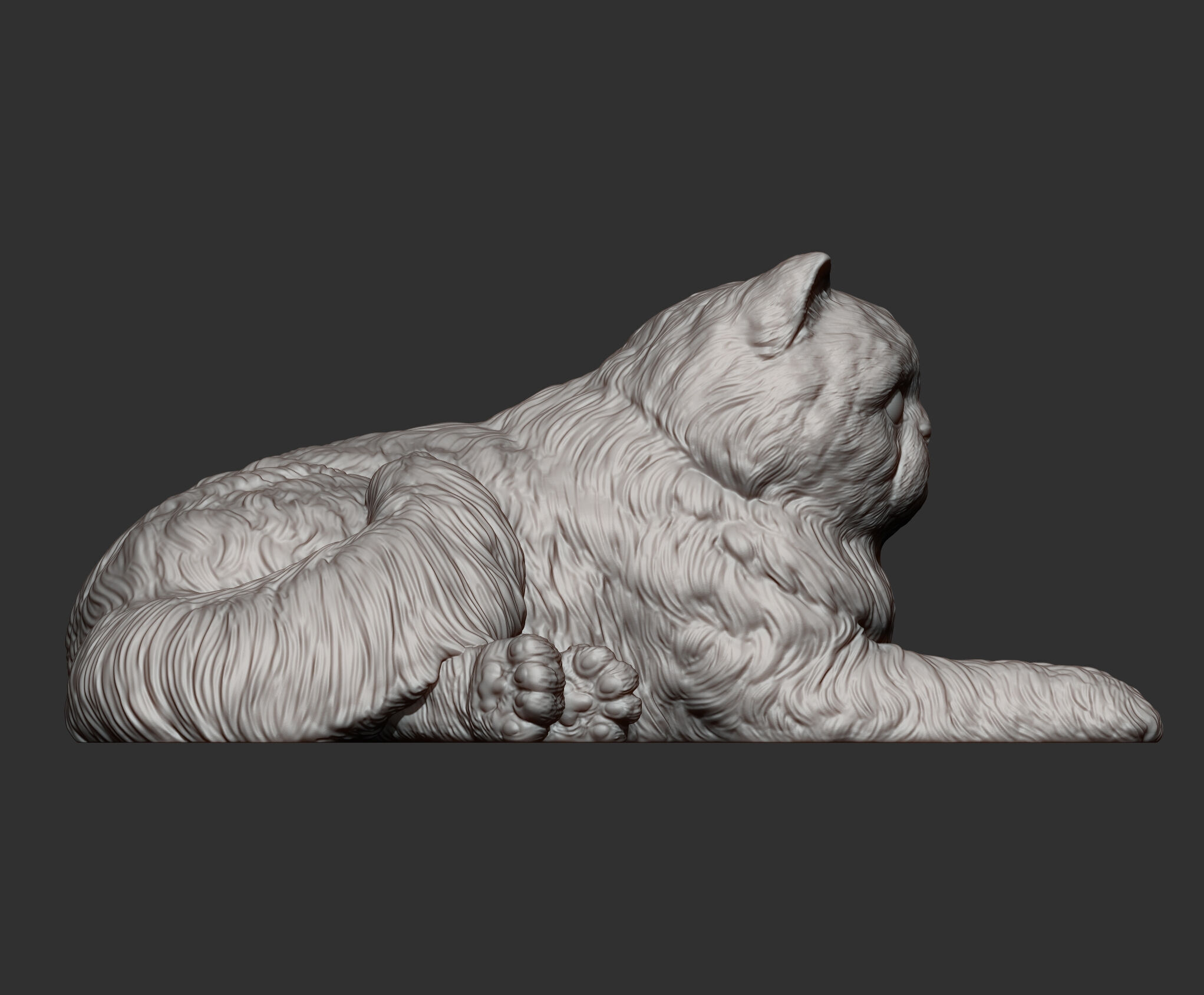 Persian cat lying down 3D print model_8